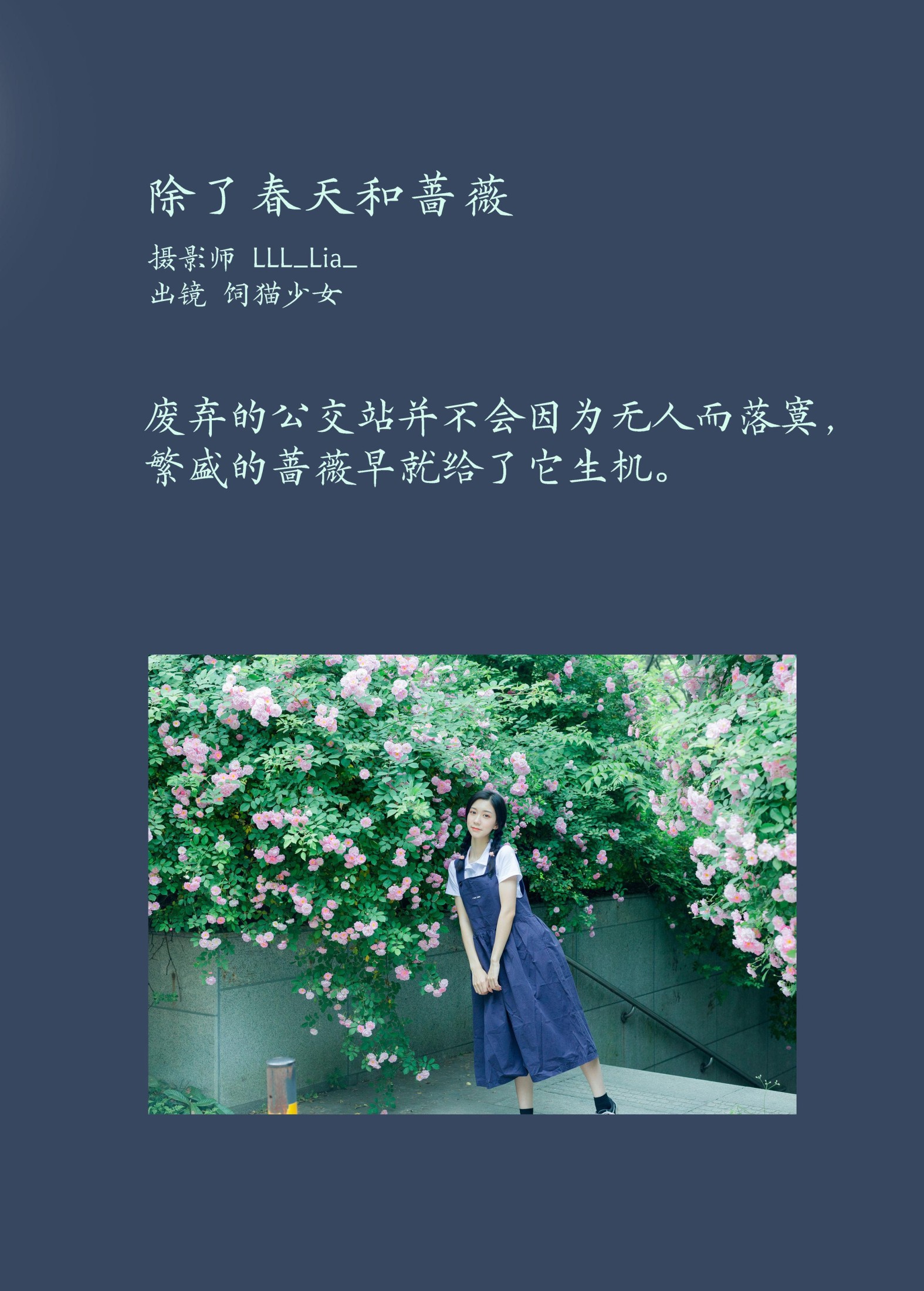 图片[2] - 饲猫少女- 《除了春天和蔷薇》[26P] - 机器猫次元 - 机器猫次元