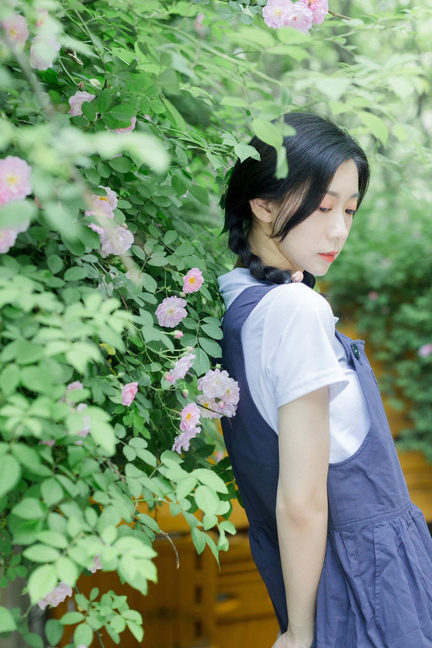 图片[5] - 饲猫少女- 《除了春天和蔷薇》[26P] - 机器猫次元 - 机器猫次元