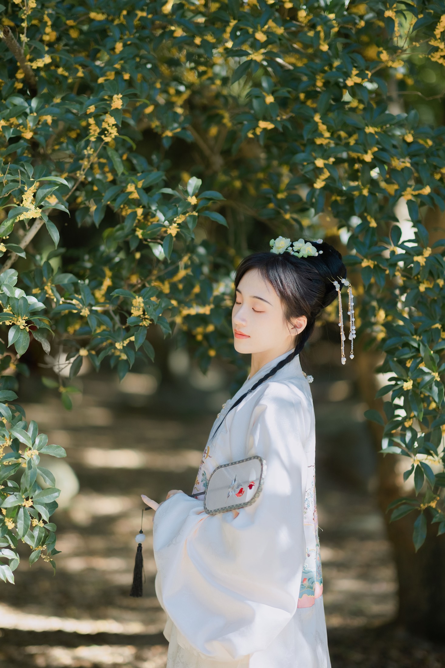图片[6] - 方莛玉 - 《折桂令》[33P] - 机器猫次元 - 机器猫次元