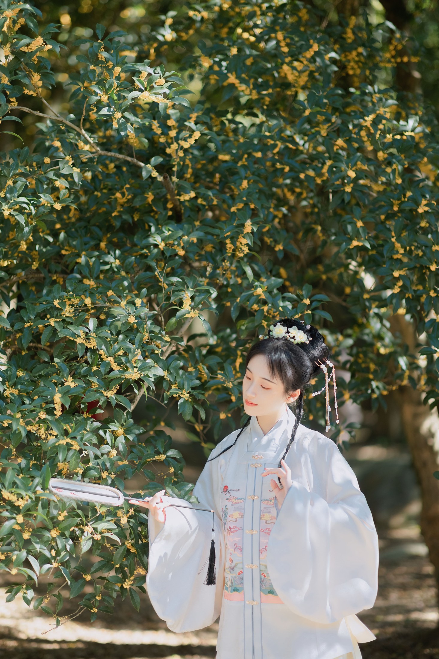 图片[3] - 方莛玉 - 《折桂令》[33P] - 机器猫次元 - 机器猫次元
