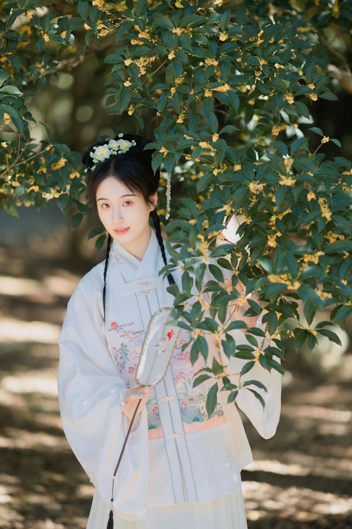 图片[5] - 方莛玉 - 《折桂令》[33P] - 机器猫次元 - 机器猫次元