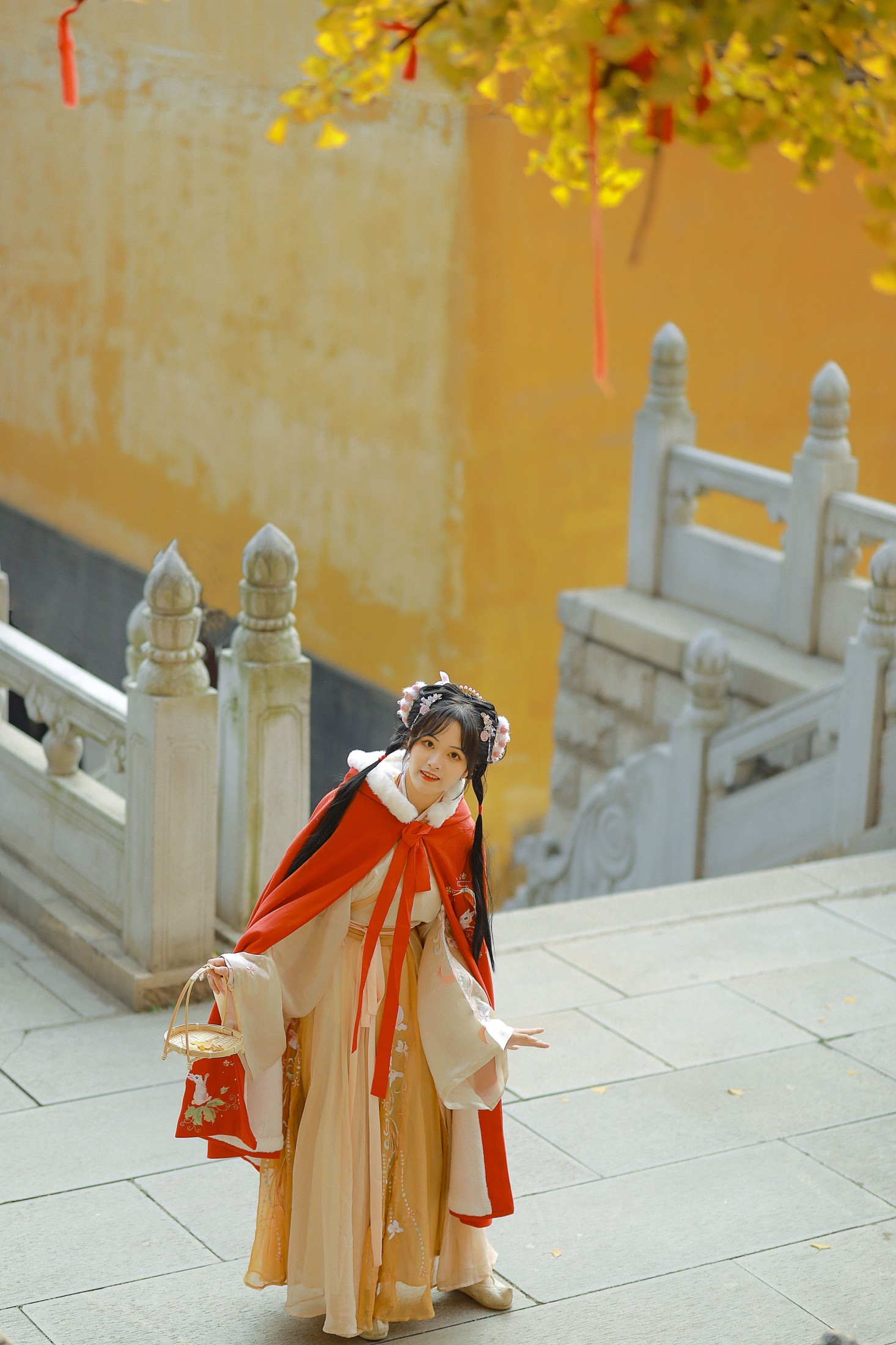 图片[6] - 是蝶绪咩 - 《银杏汉服》[22P] - 机器猫次元 - 机器猫次元