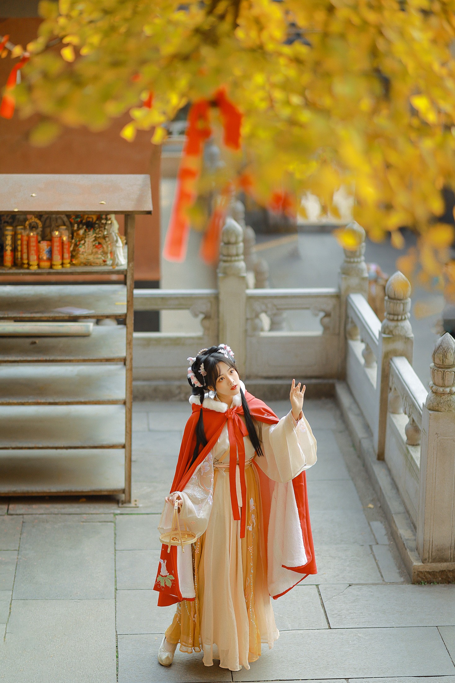 图片[4] - 是蝶绪咩 - 《银杏汉服》[22P] - 机器猫次元 - 机器猫次元