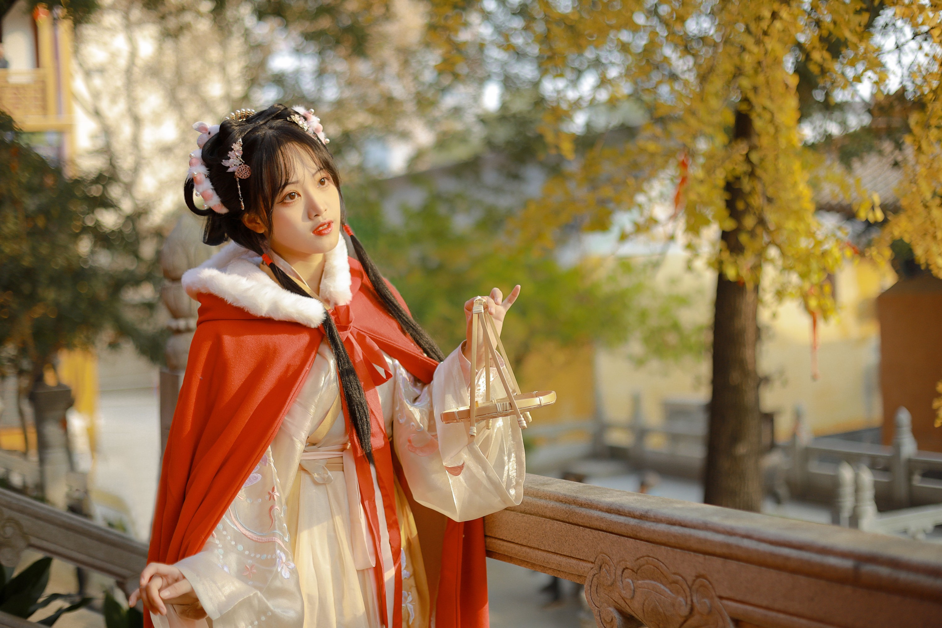 图片[3] - 是蝶绪咩 - 《银杏汉服》[22P] - 机器猫次元 - 机器猫次元