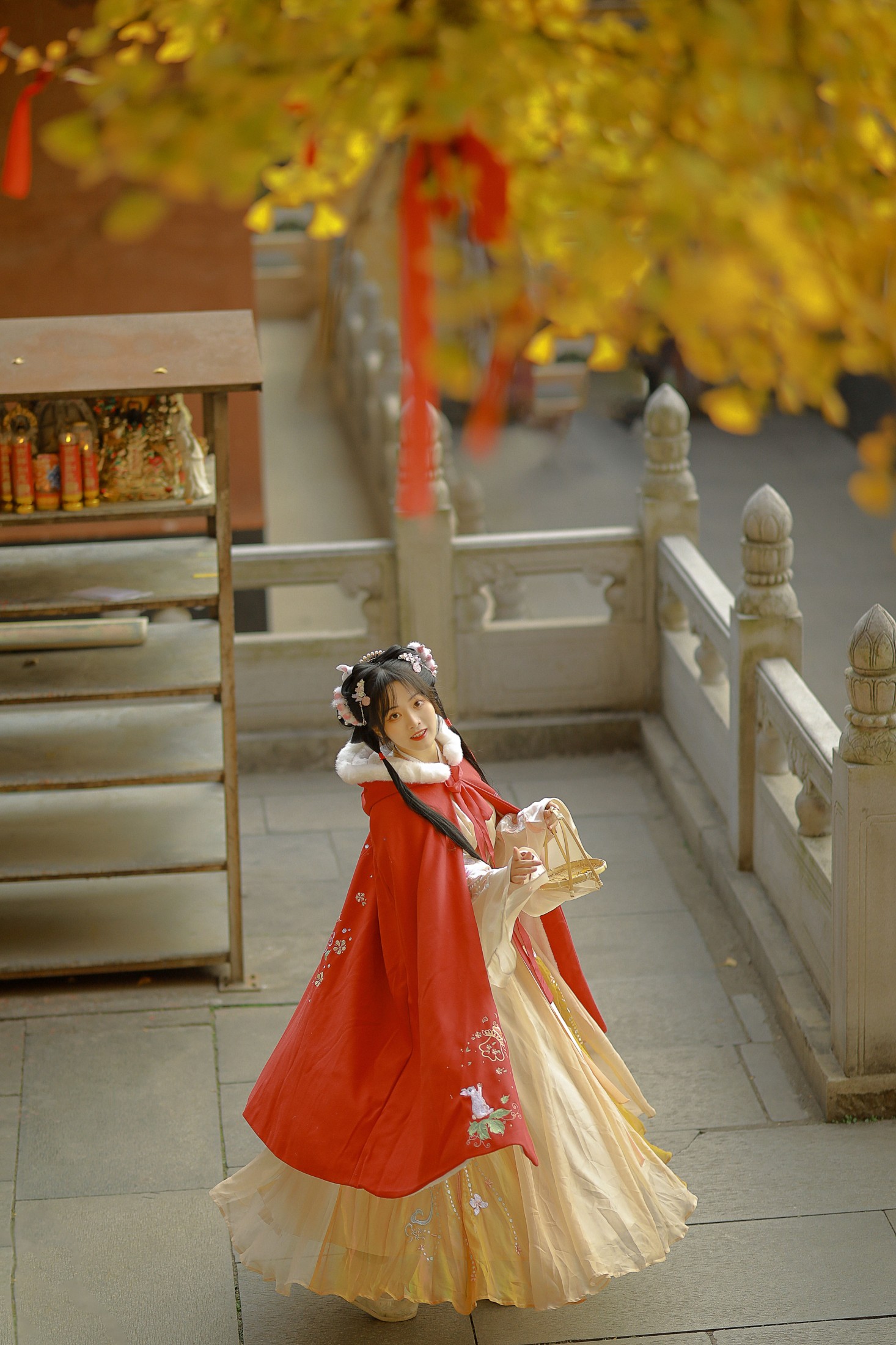 图片[7] - 是蝶绪咩 - 《银杏汉服》[22P] - 机器猫次元 - 机器猫次元