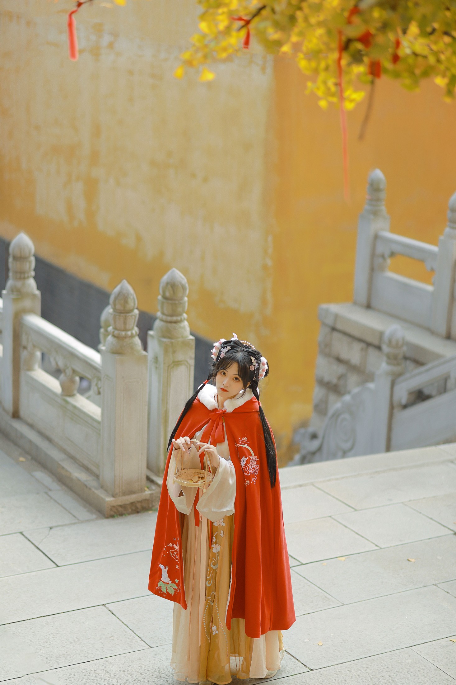 图片[5] - 是蝶绪咩 - 《银杏汉服》[22P] - 机器猫次元 - 机器猫次元