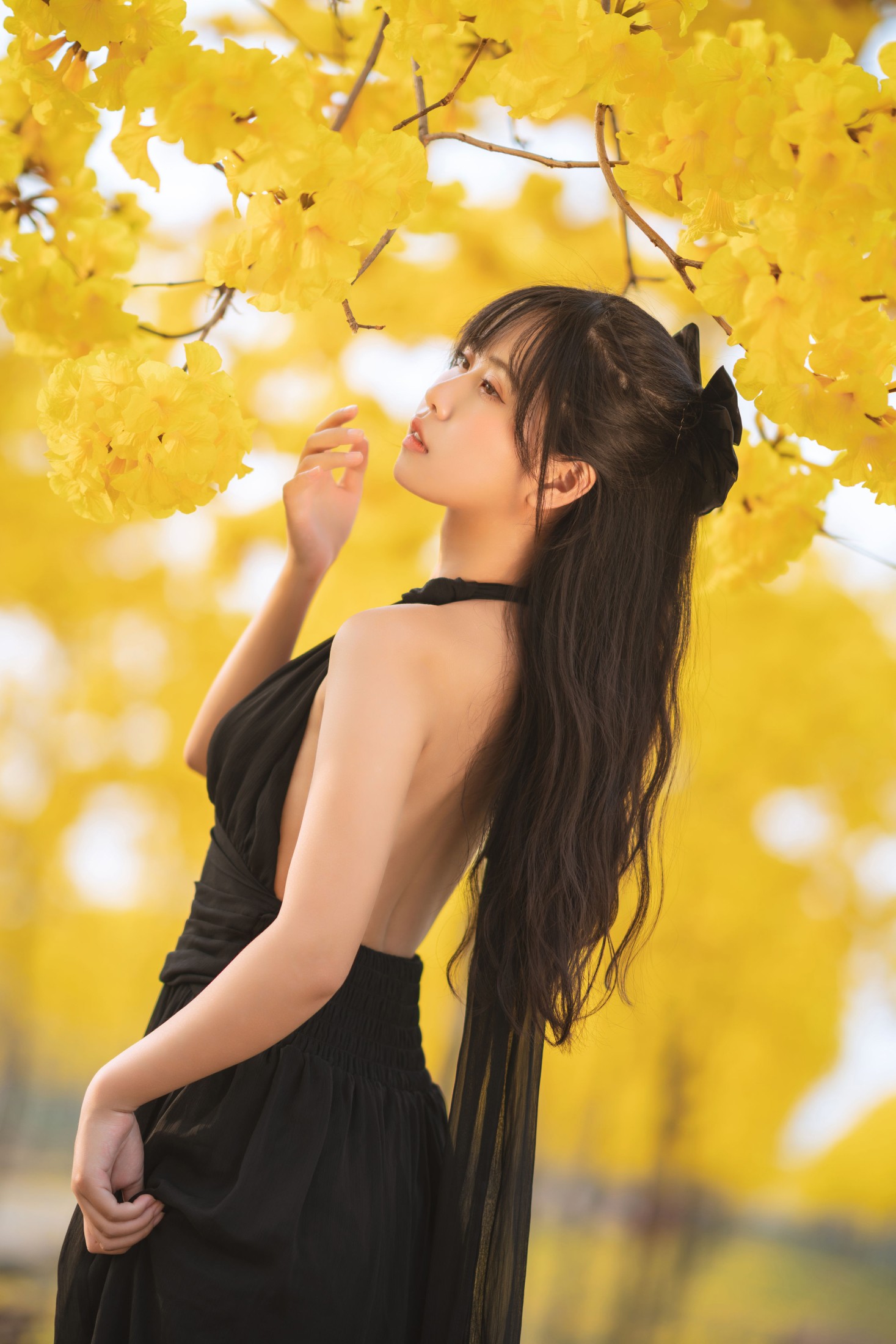 图片[3] - 萌芽儿o0 - 《秋有银杏 春有黄风铃》[25P] - 机器猫次元 - 机器猫次元