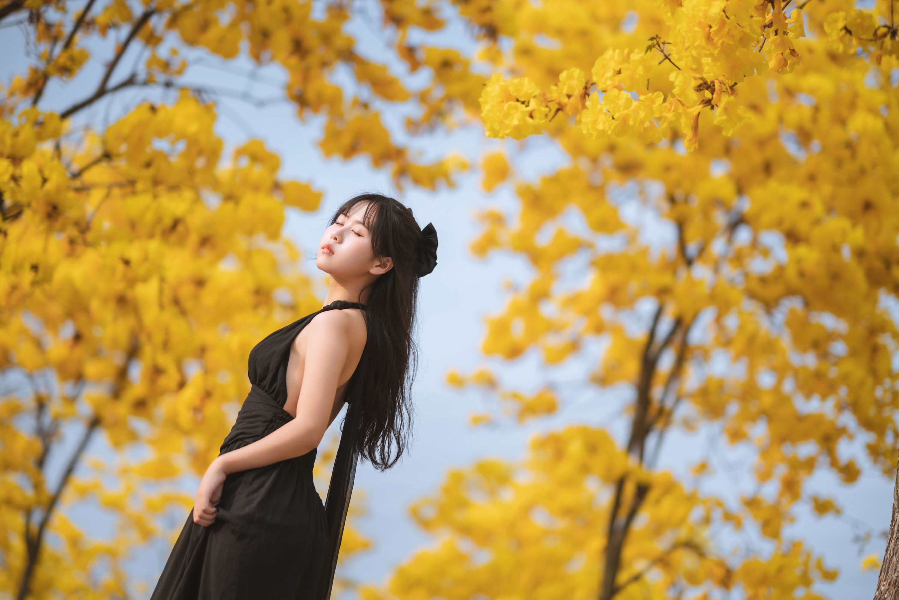 图片[4] - 萌芽儿o0 - 《秋有银杏 春有黄风铃》[25P] - 机器猫次元 - 机器猫次元