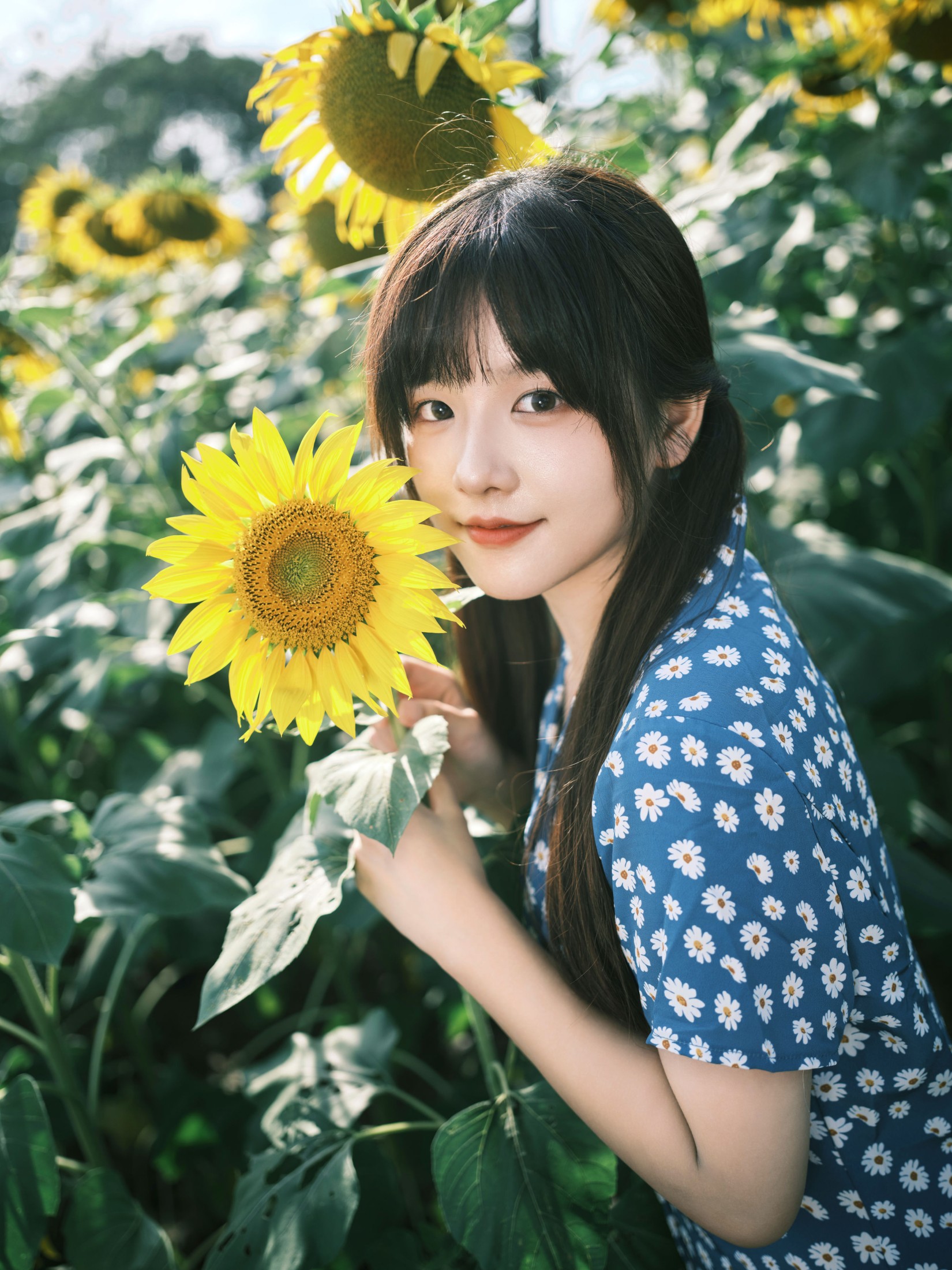 图片[3] - 宵宵喵 - 《向日葵》[28P] - 机器猫次元 - 机器猫次元