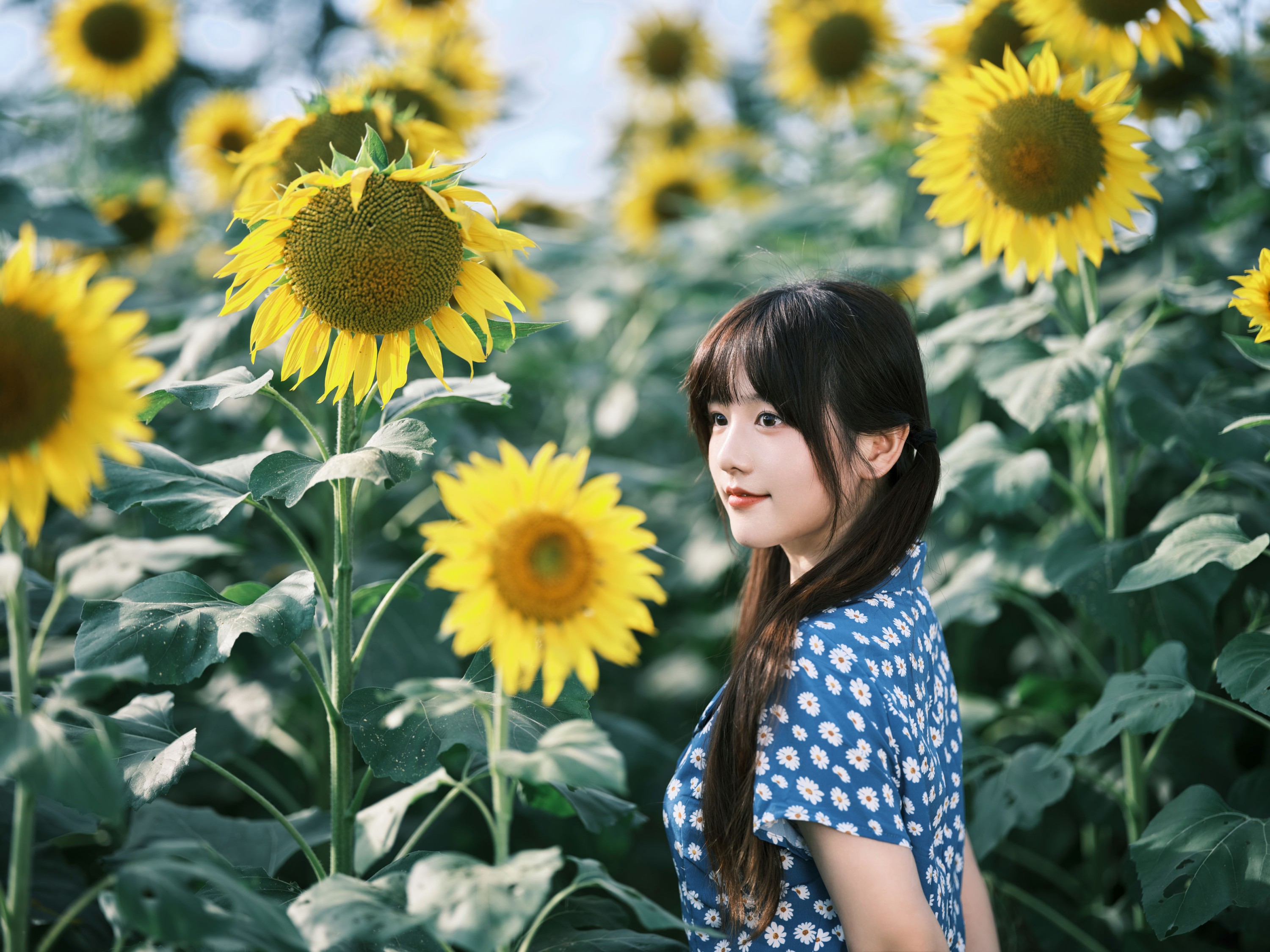图片[4] - 宵宵喵 - 《向日葵》[28P] - 机器猫次元 - 机器猫次元