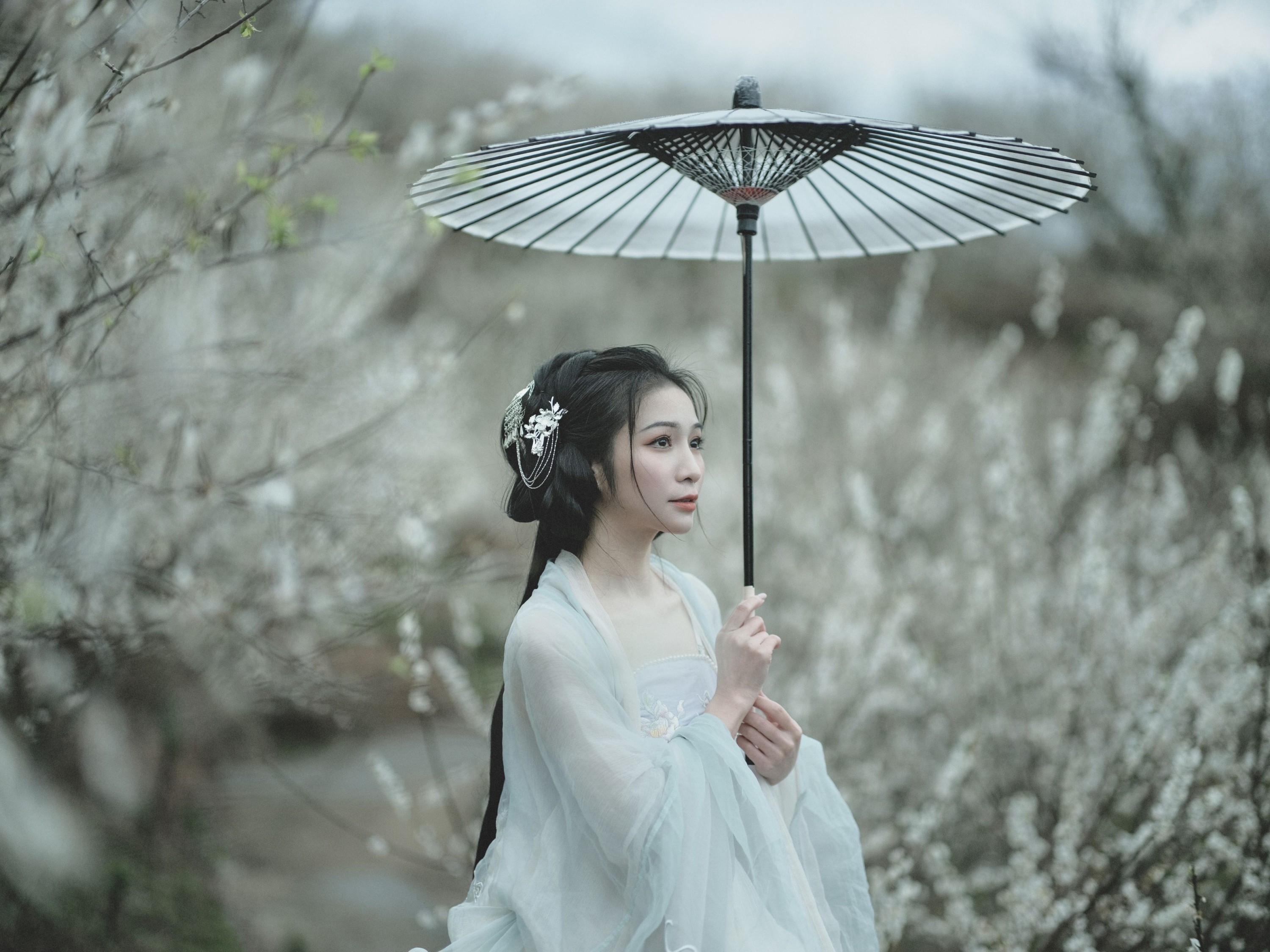 图片[5] - 轻舟 - 《冬梅》[26P] - 机器猫次元 - 机器猫次元