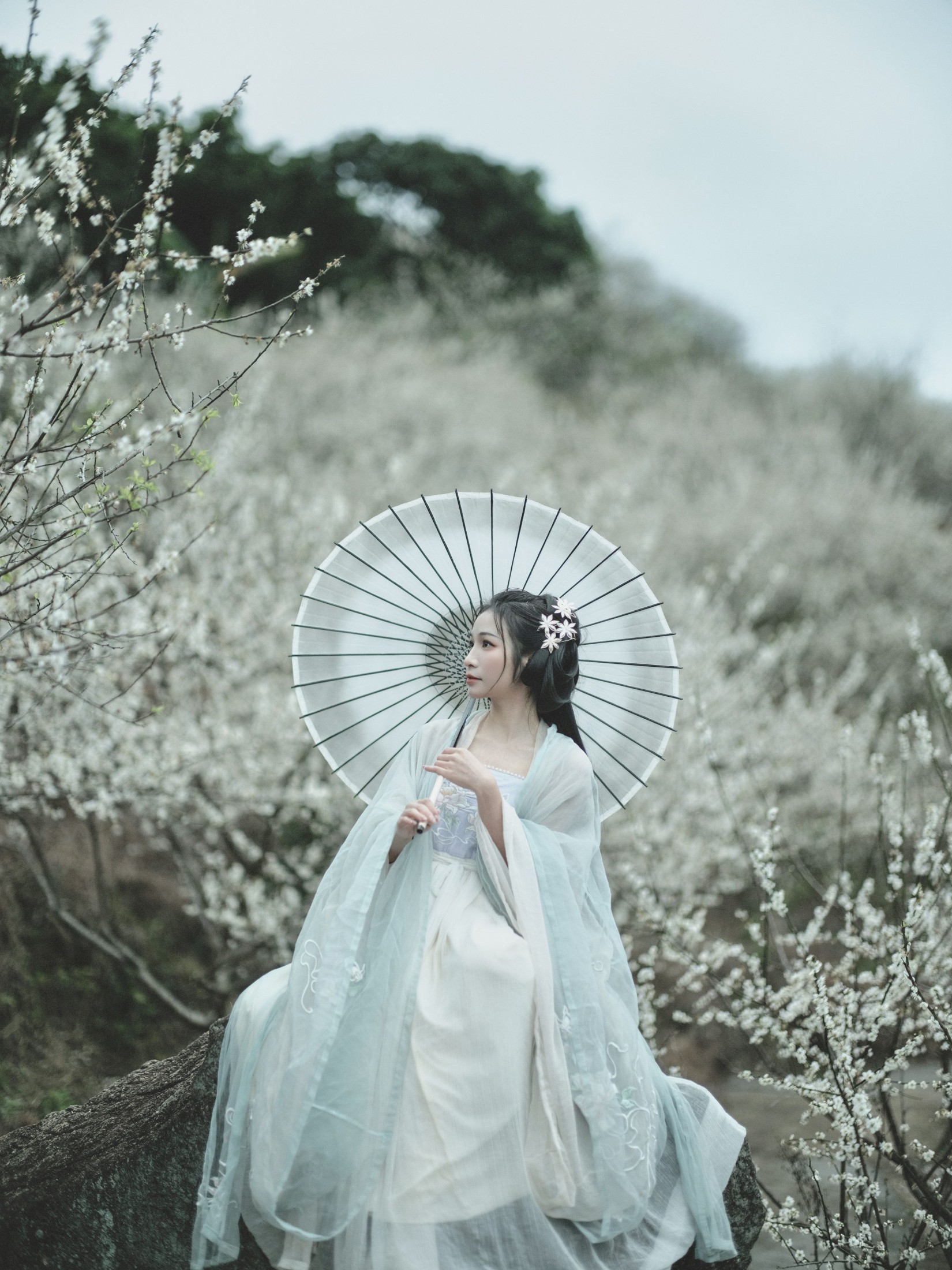 图片[8] - 轻舟 - 《冬梅》[26P] - 机器猫次元 - 机器猫次元
