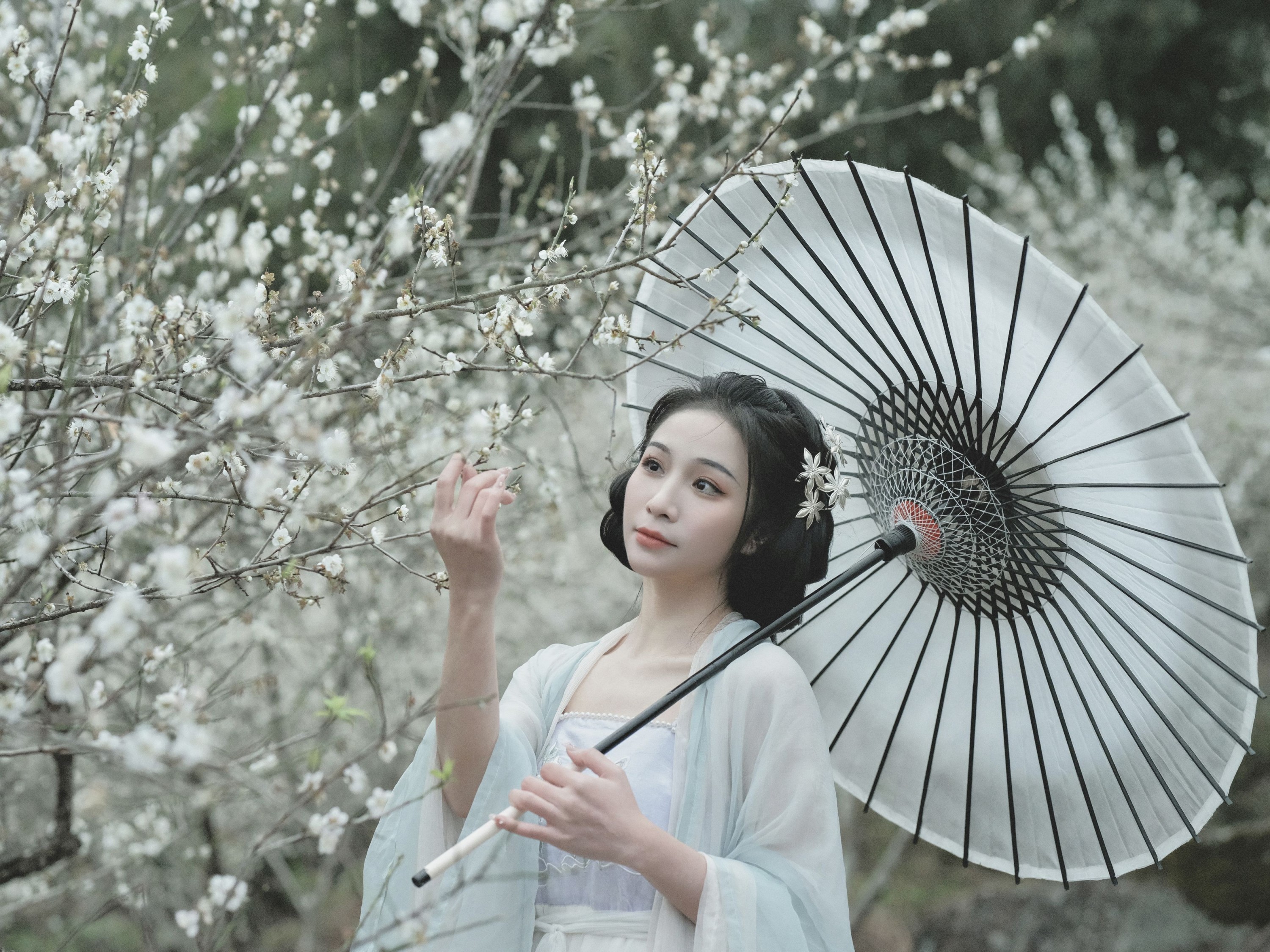 图片[7] - 轻舟 - 《冬梅》[26P] - 机器猫次元 - 机器猫次元