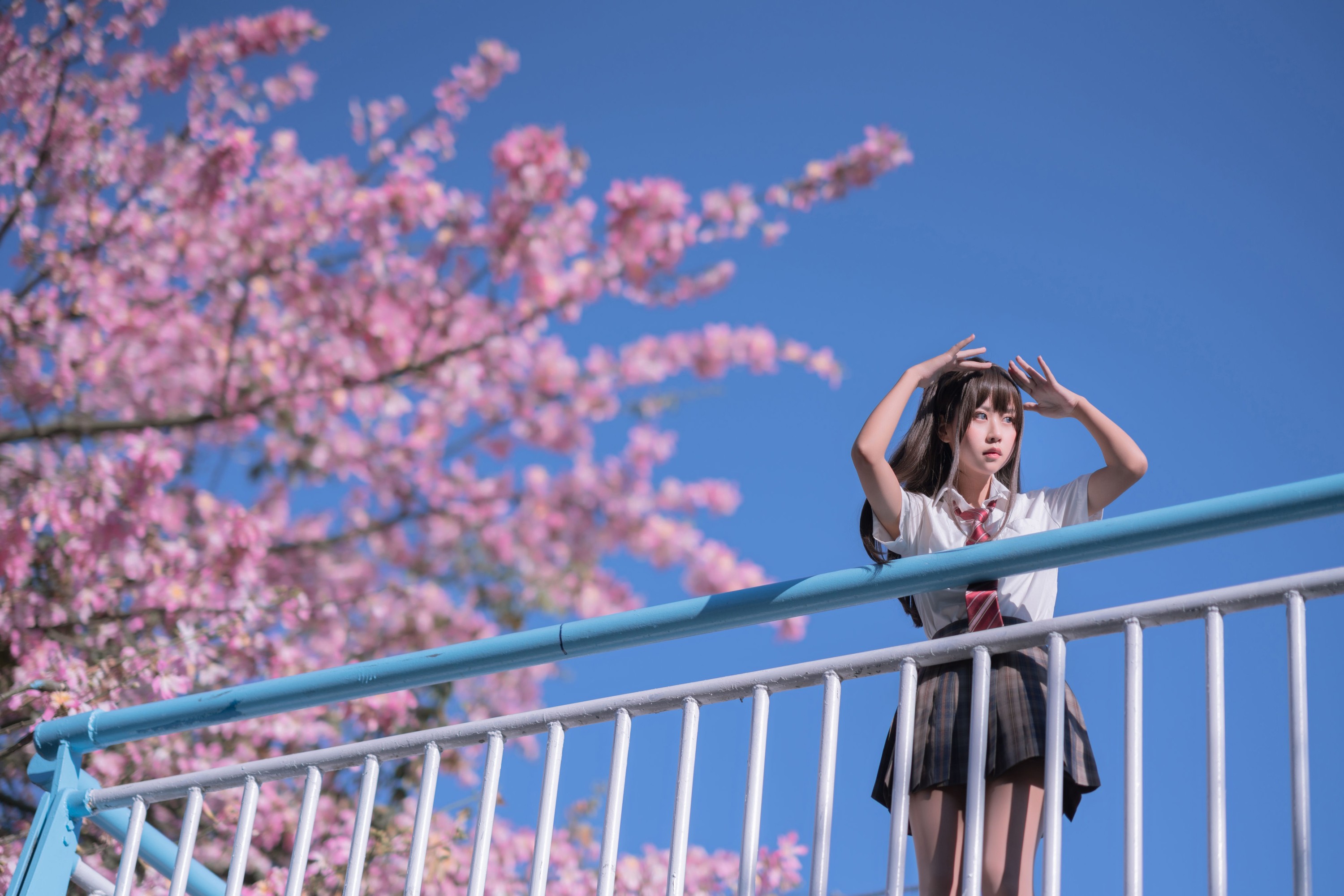 图片[5] - 萌芽儿o0 - 《异木棉花》[28P] - 机器猫次元 - 机器猫次元