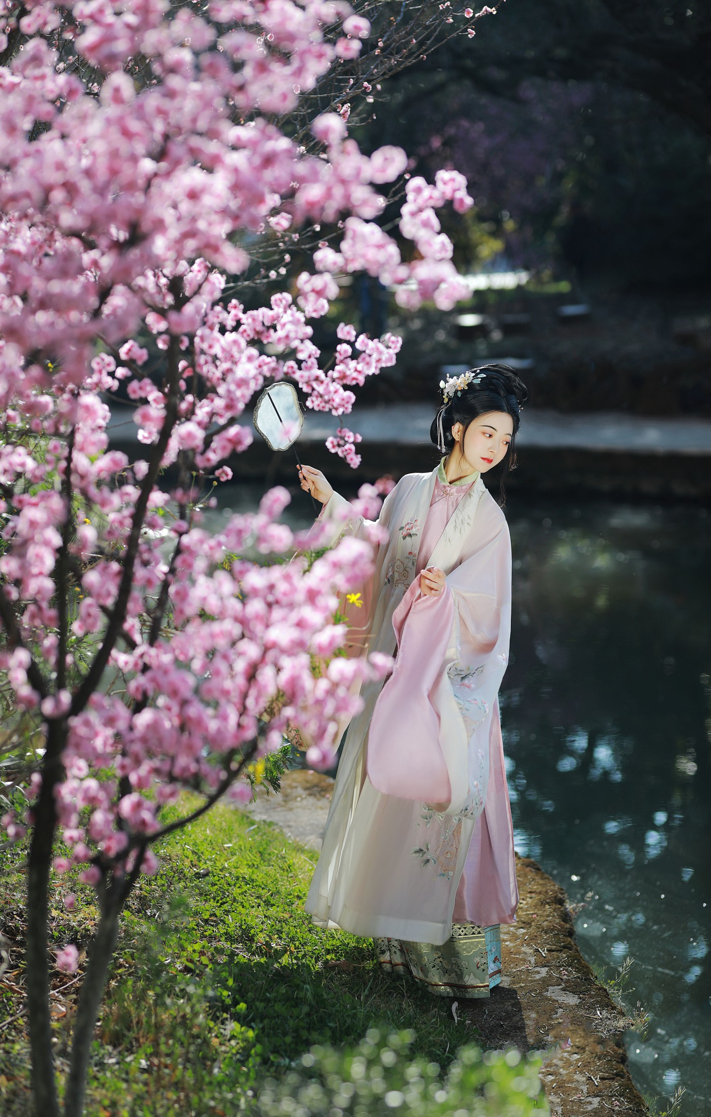 图片[6] - 与芳 - 《安之若命》[33P] - 机器猫次元 - 机器猫次元