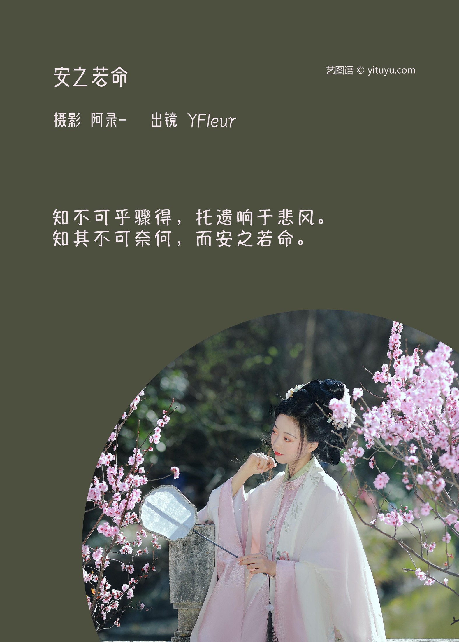 图片[2] - 与芳 - 《安之若命》[33P] - 机器猫次元 - 机器猫次元