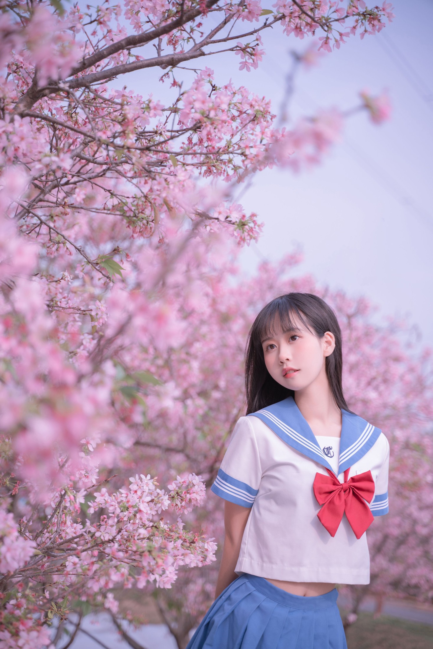 图片[6] - 萌芽儿o0 - 《樱花jk》[32P] - 机器猫次元 - 机器猫次元