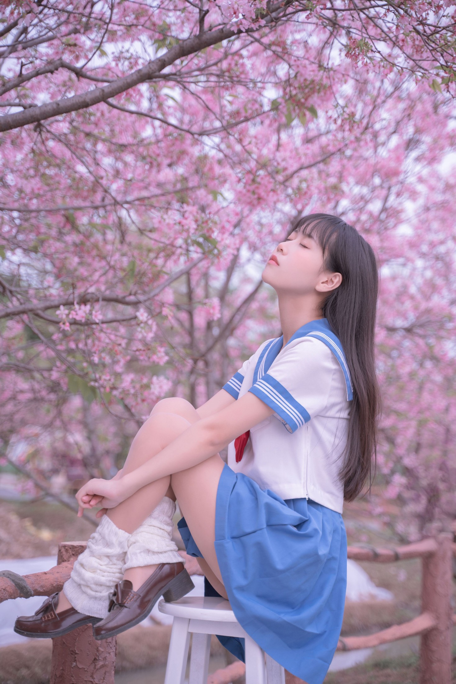 图片[5] - 萌芽儿o0 - 《樱花jk》[32P] - 机器猫次元 - 机器猫次元