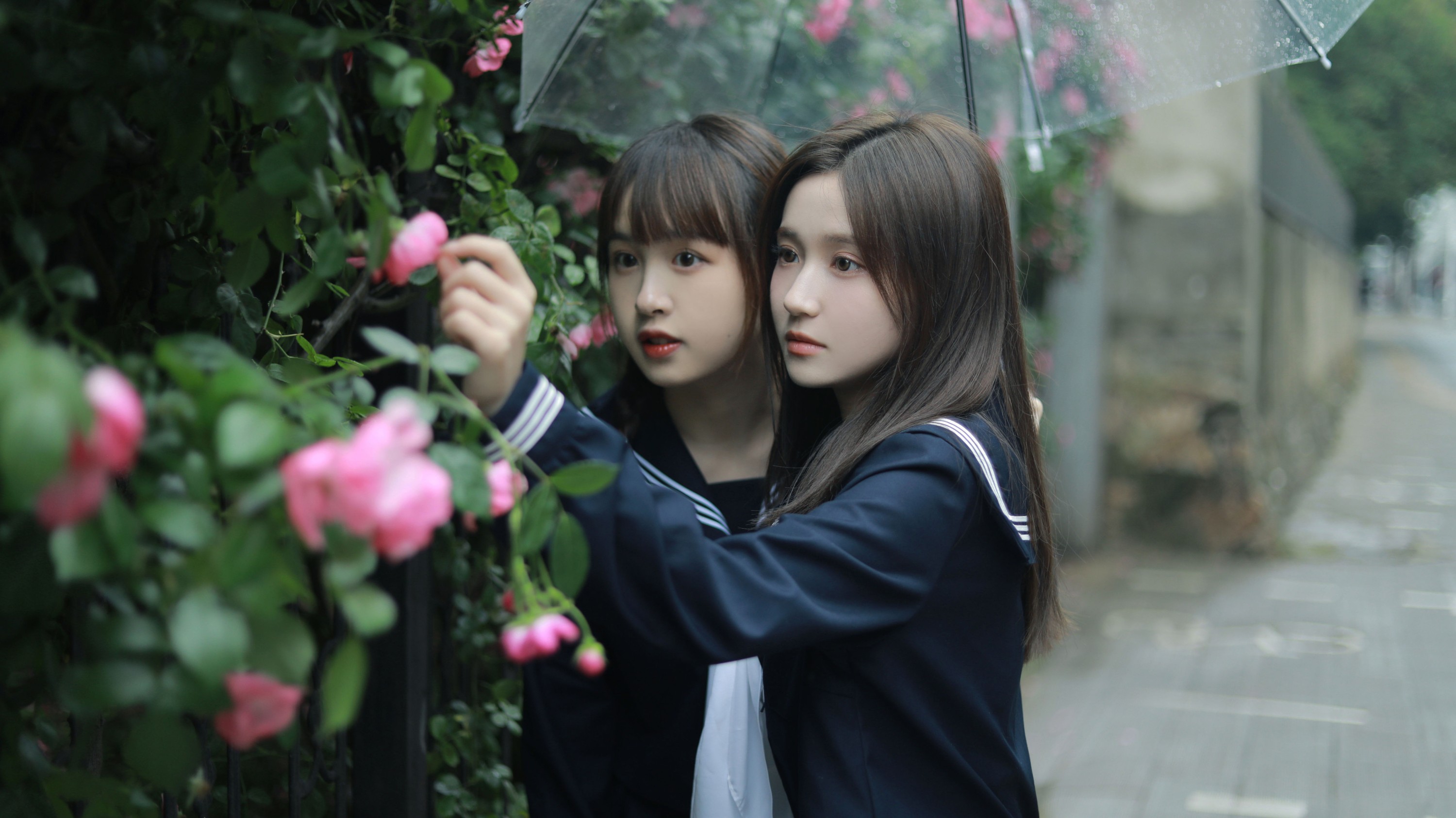 图片[3] - 大元梦二 璨璨 - 《花与爱丽丝》[30P] - 机器猫次元 - 机器猫次元