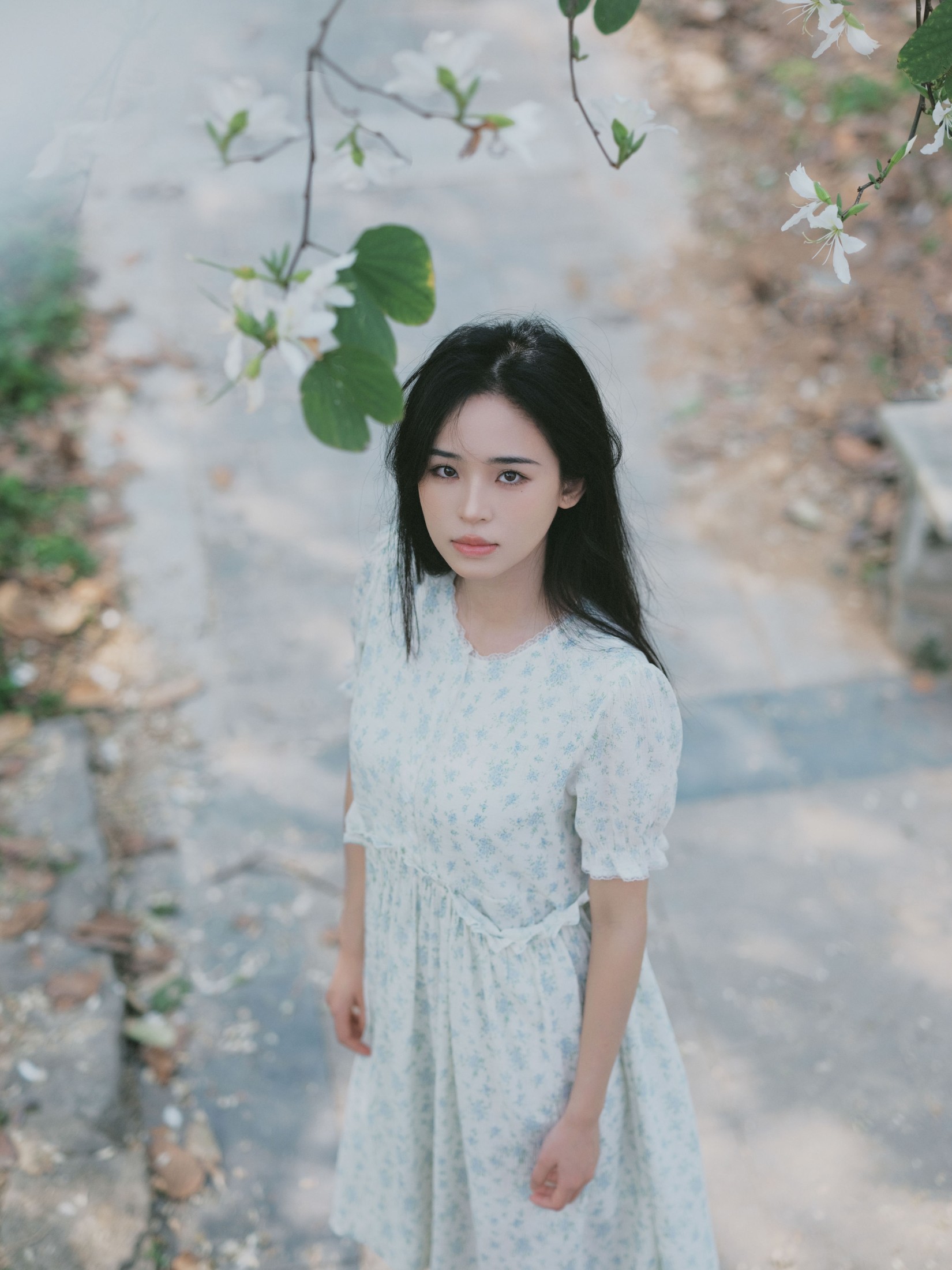 图片[4] - 仲夏廿一 - 《时光画卷》[40P] - 机器猫次元 - 机器猫次元