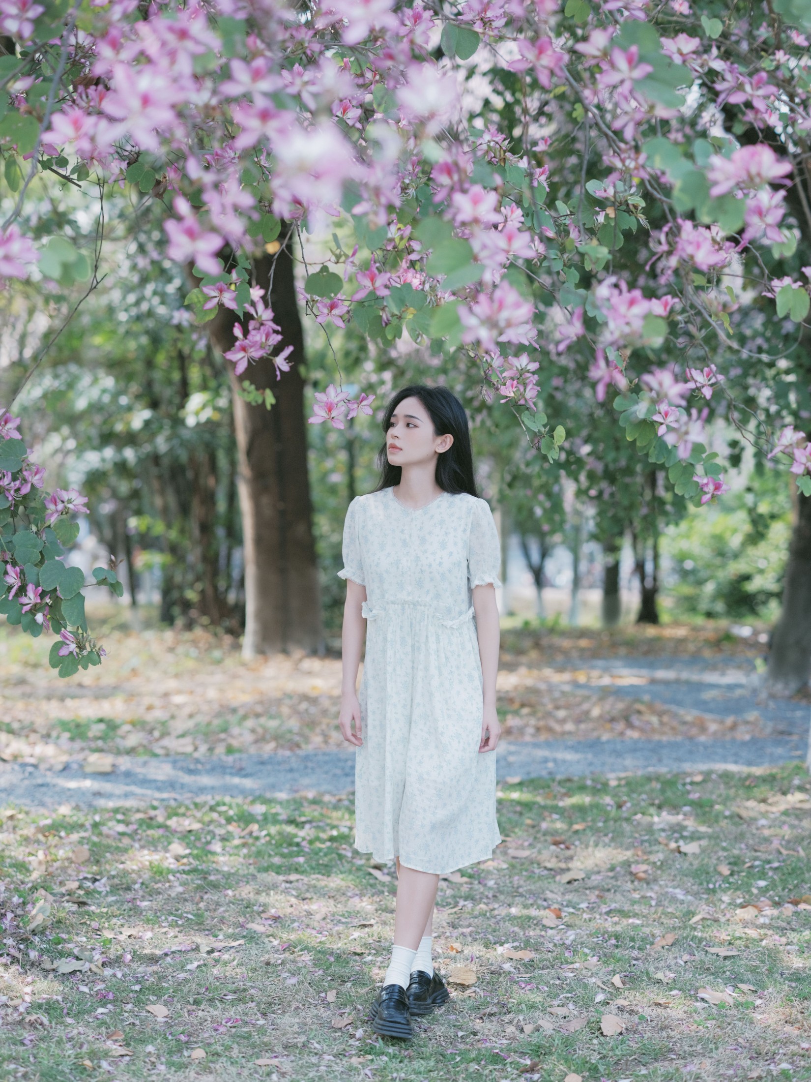 图片[3] - 仲夏廿一 - 《时光画卷》[40P] - 机器猫次元 - 机器猫次元