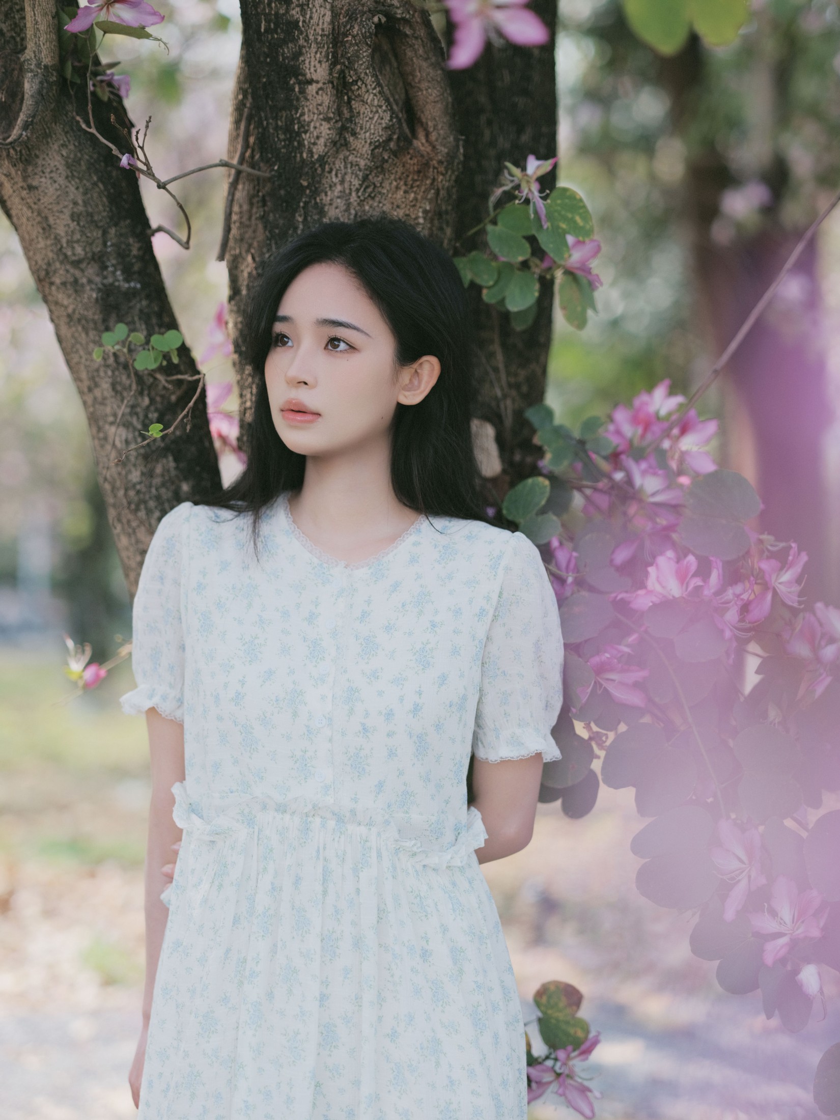图片[5] - 仲夏廿一 - 《时光画卷》[40P] - 机器猫次元 - 机器猫次元