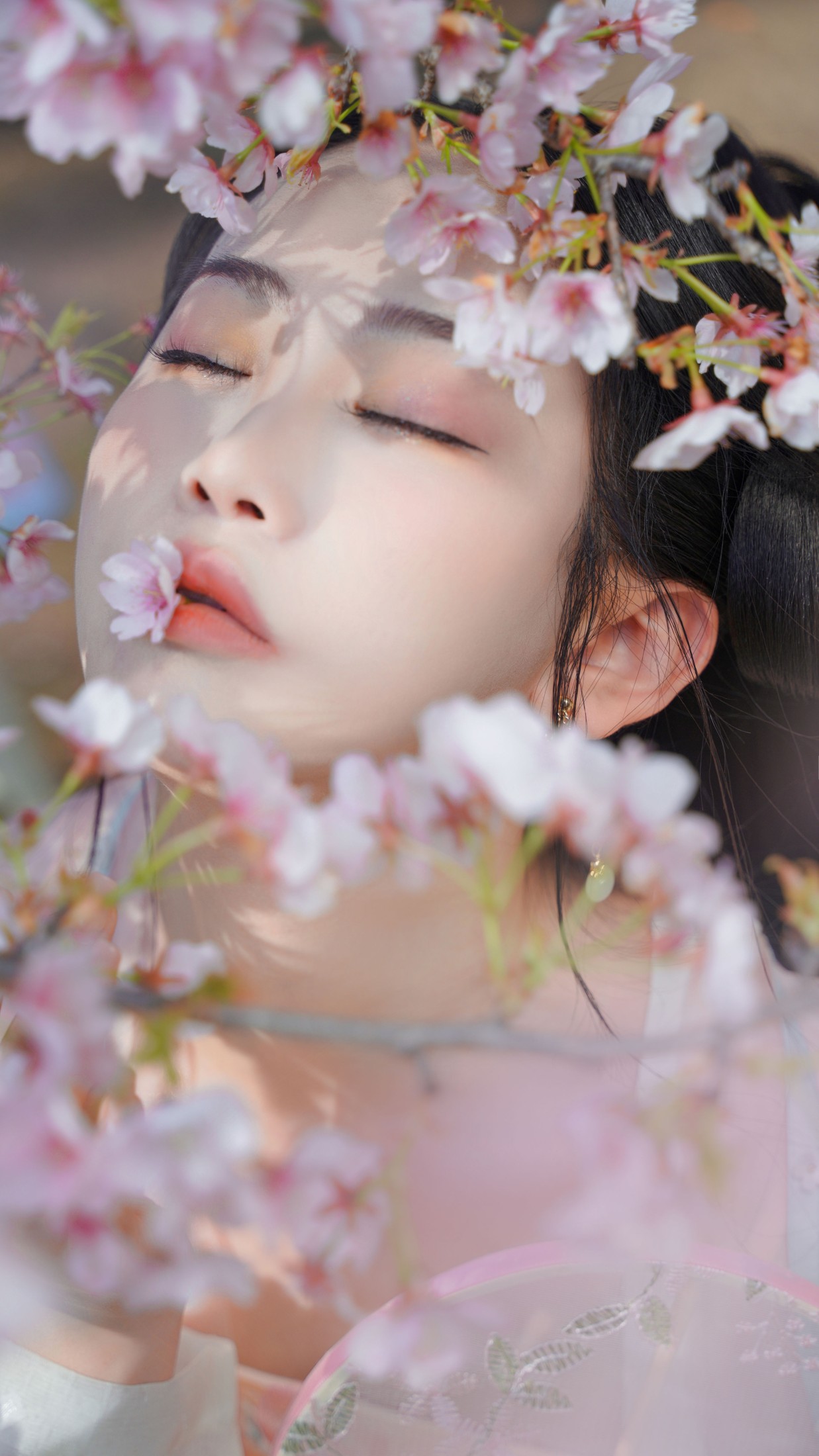 图片[8] - 湫一只岁岁 - 《樱之花》[23P] - 机器猫次元 - 机器猫次元