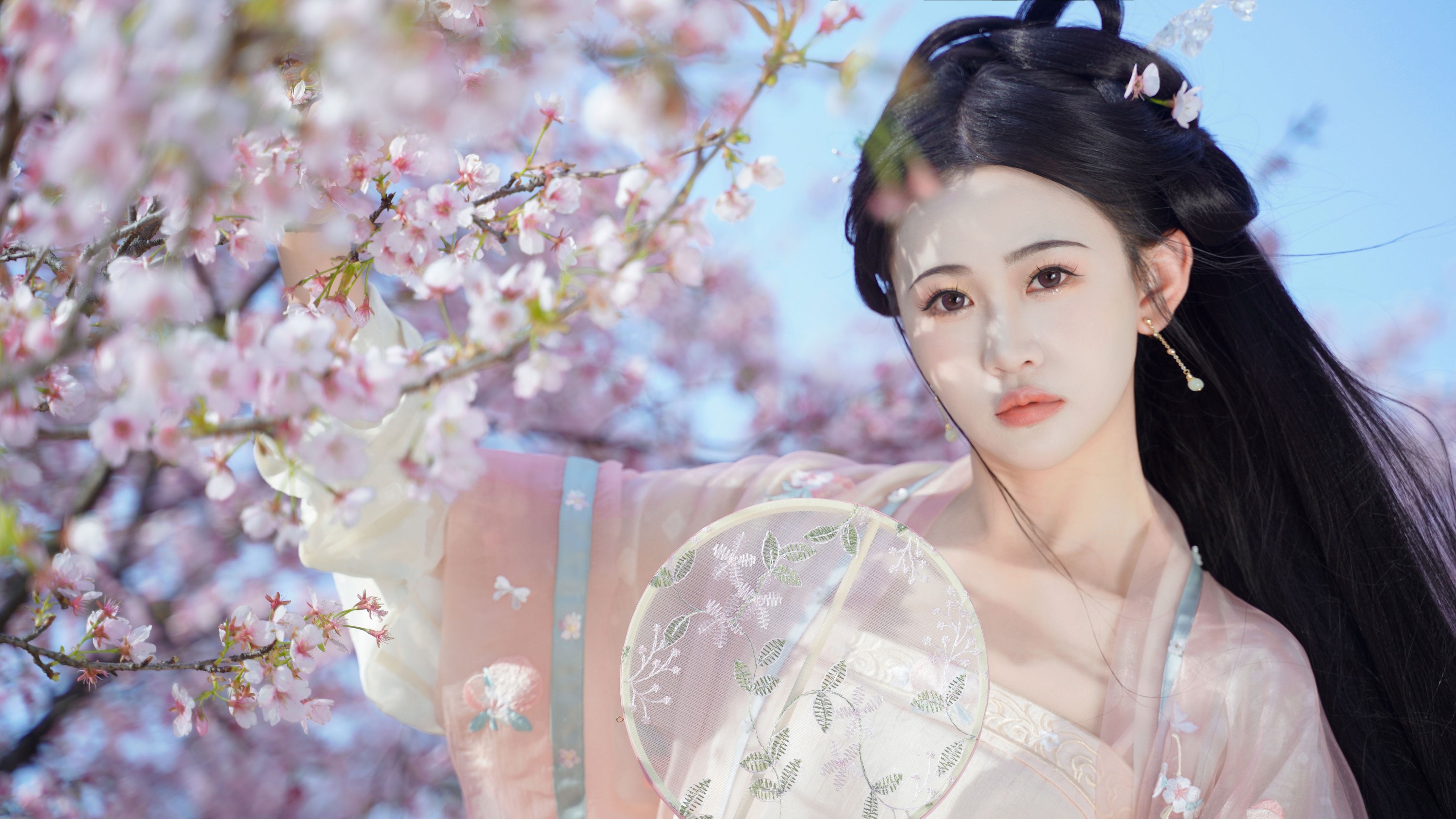 图片[3] - 湫一只岁岁 - 《樱之花》[23P] - 机器猫次元 - 机器猫次元