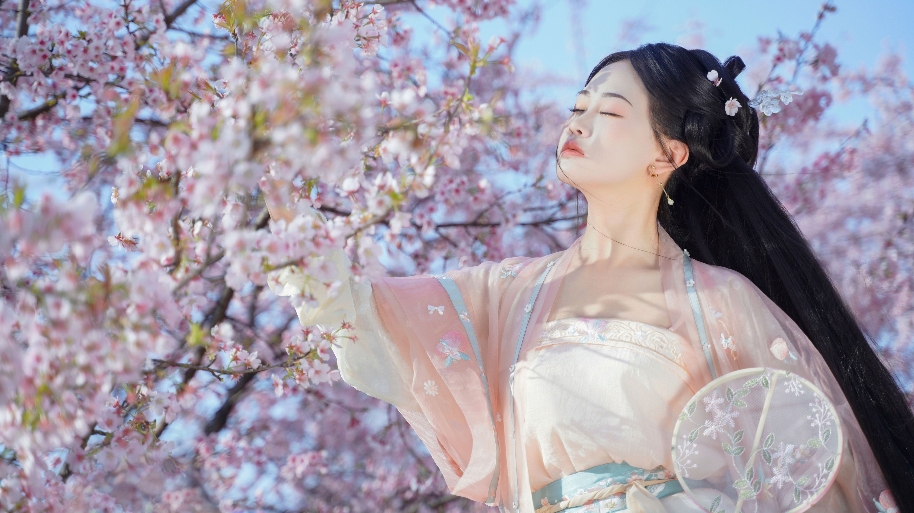 图片[4] - 湫一只岁岁 - 《樱之花》[23P] - 机器猫次元 - 机器猫次元
