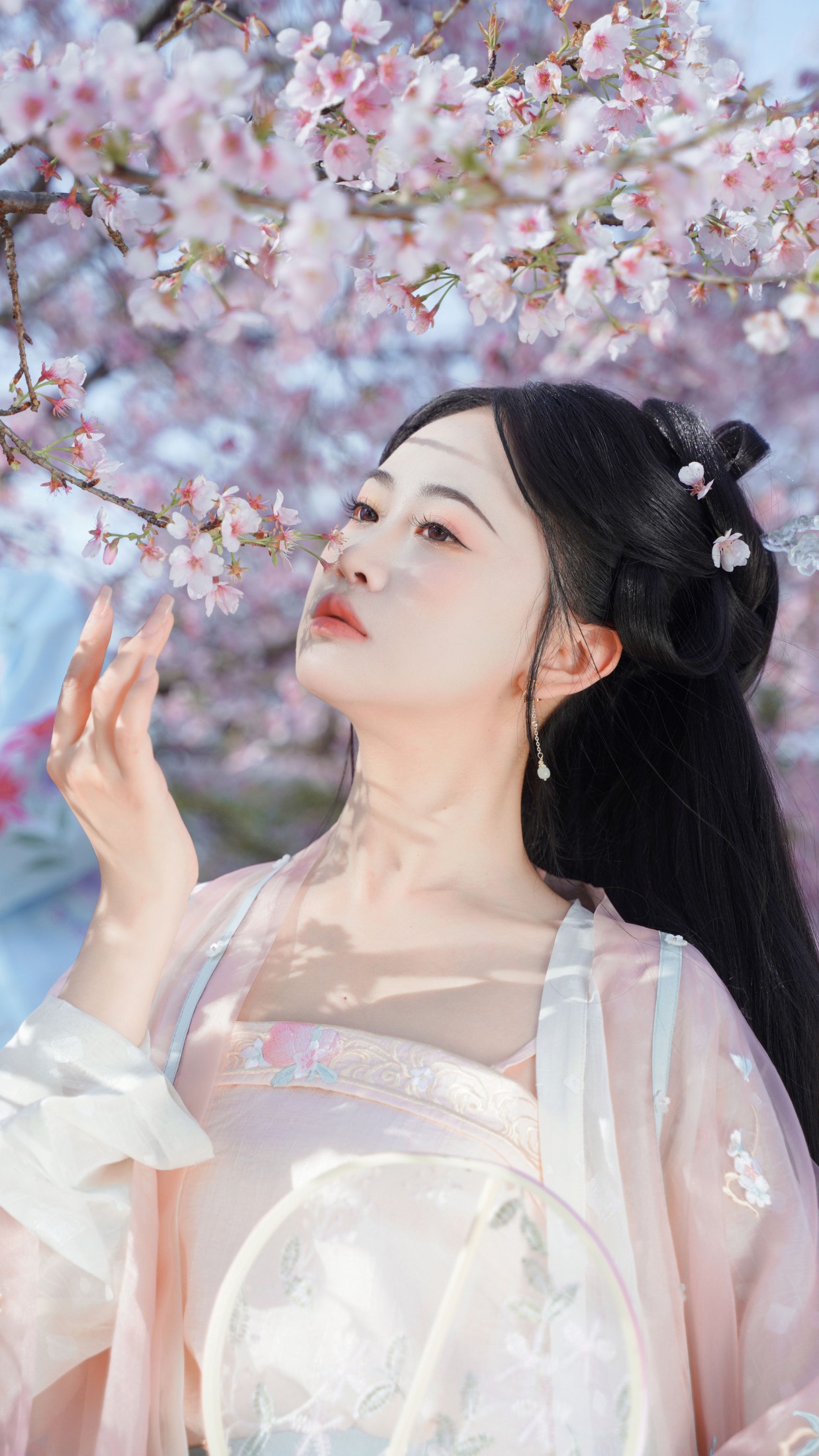 图片[7] - 湫一只岁岁 - 《樱之花》[23P] - 机器猫次元 - 机器猫次元