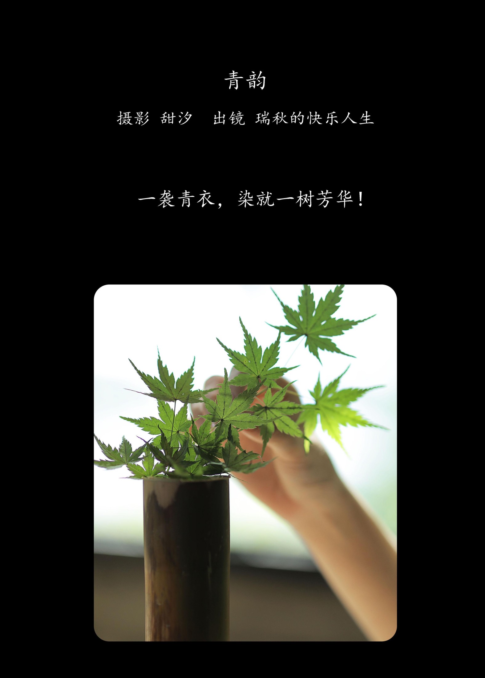 图片[2] - 瑞秋的快乐人生 - 《青韵》[20P] - 机器猫次元 - 机器猫次元