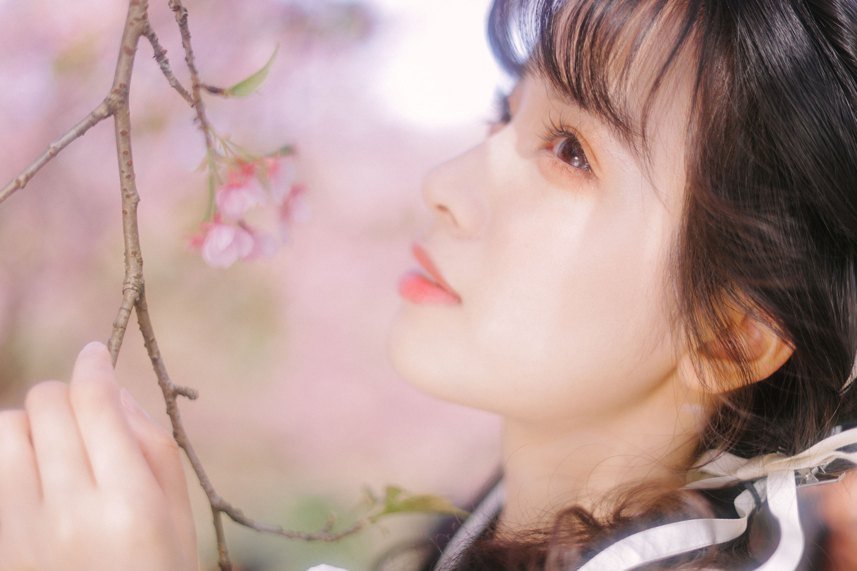 图片[8] - 一只阿梦崽 - 《粉樱》[29P] - 机器猫次元 - 机器猫次元