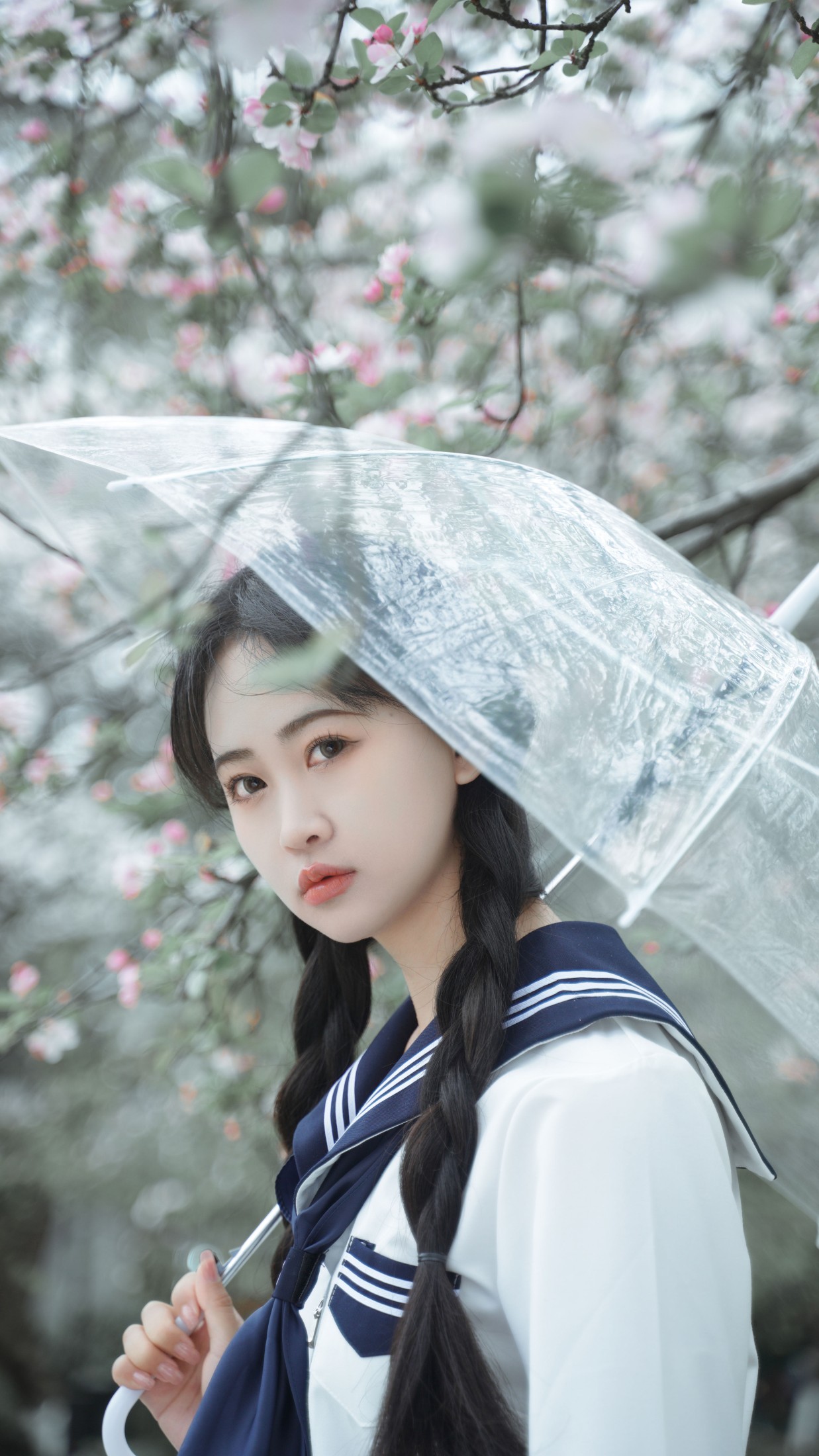 图片[3] - 湫一只岁岁 - 《樱花》[27P] - 机器猫次元 - 机器猫次元