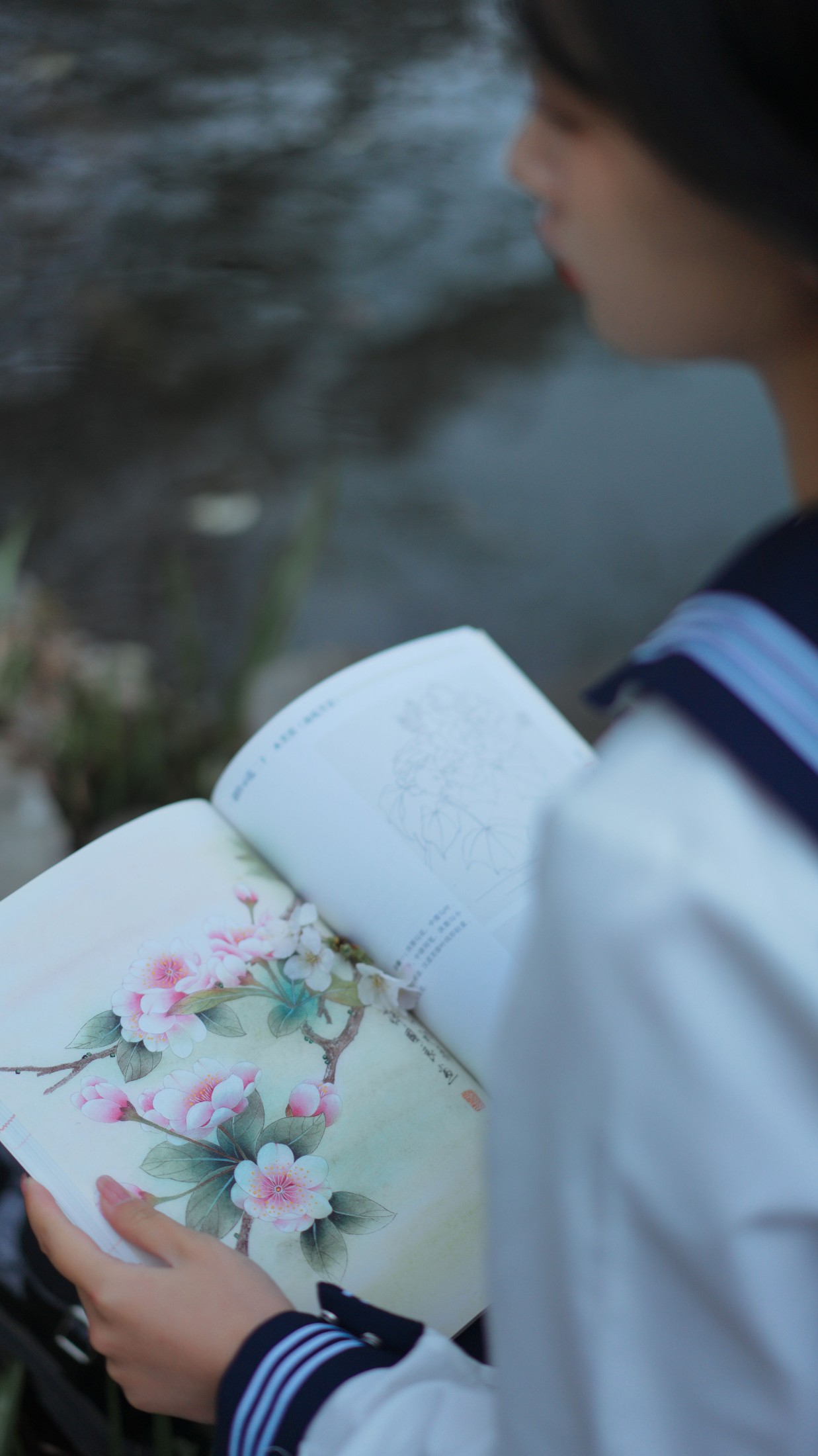 图片[8] - 湫一只岁岁 - 《樱花》[27P] - 机器猫次元 - 机器猫次元