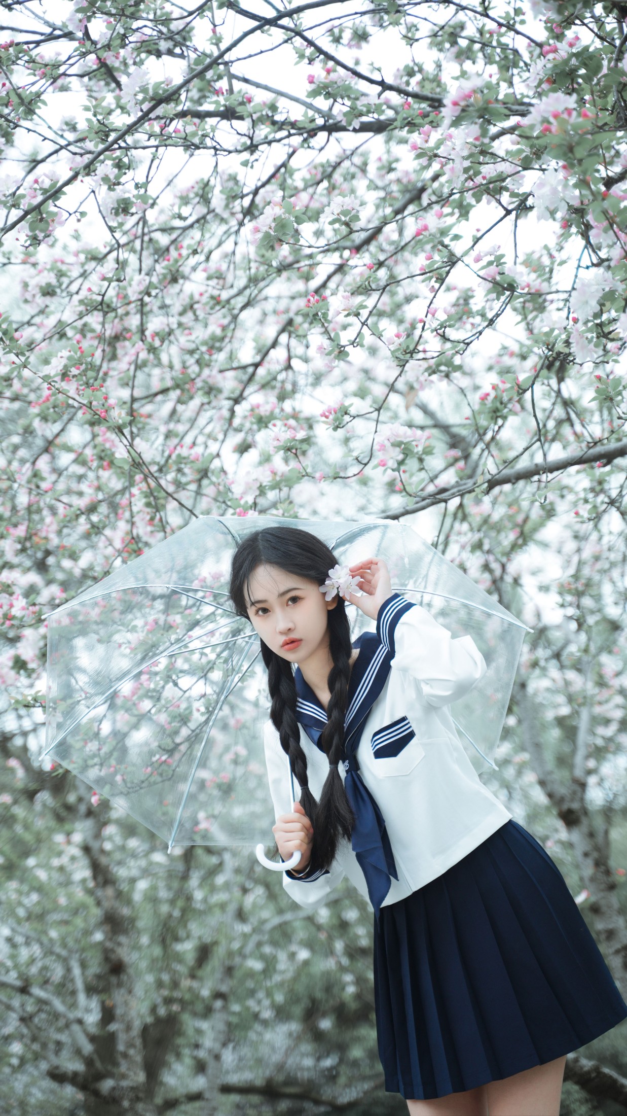 图片[4] - 湫一只岁岁 - 《樱花》[27P] - 机器猫次元 - 机器猫次元