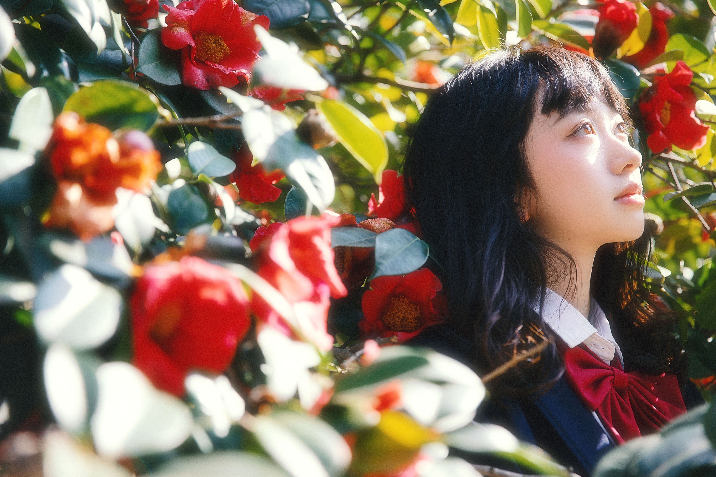 图片[8] - natasha - 《山茶花又开》[27P] - 机器猫次元 - 机器猫次元