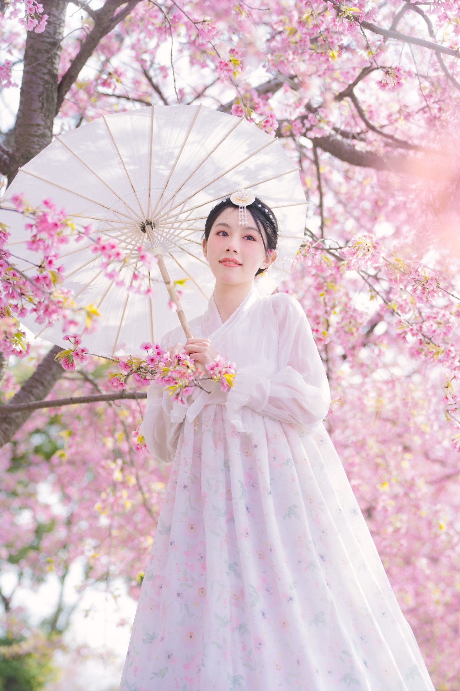 图片[6] - 初初 - 《延边公主樱花祭》[22P] - 机器猫次元 - 机器猫次元