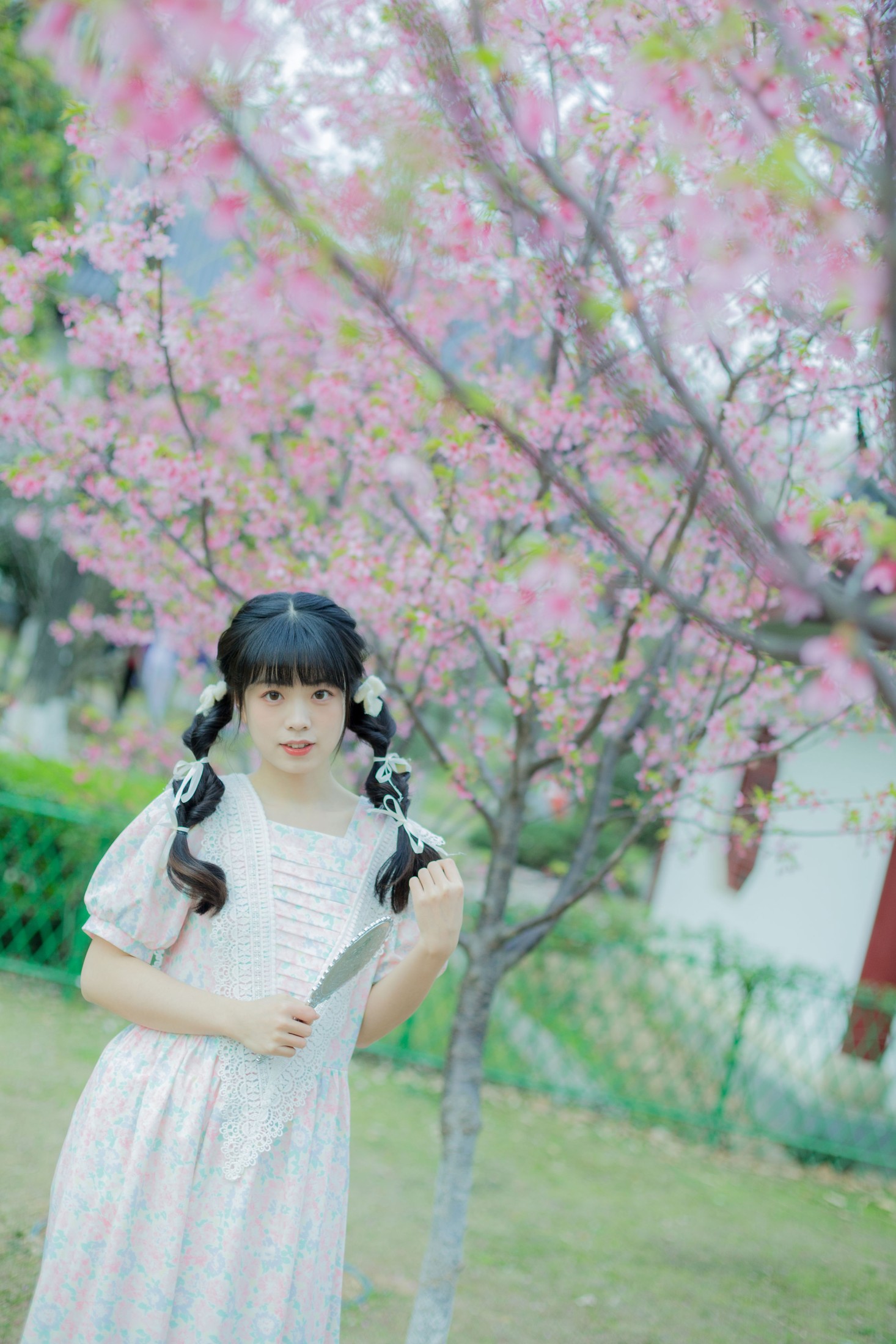 图片[3] - 一只暖暖 - 《春日樱花记忆》[31P] - 机器猫次元 - 机器猫次元