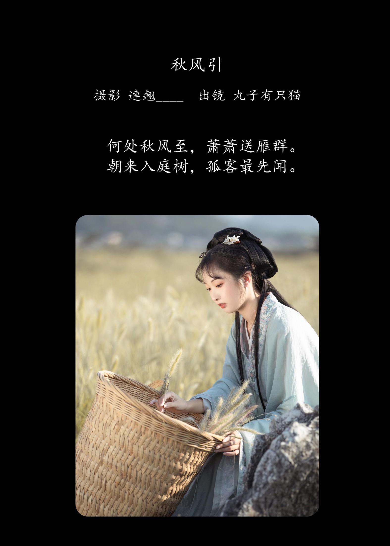 图片[2] - 丸子有只猫 - 《秋风引》[26P] - 机器猫次元 - 机器猫次元