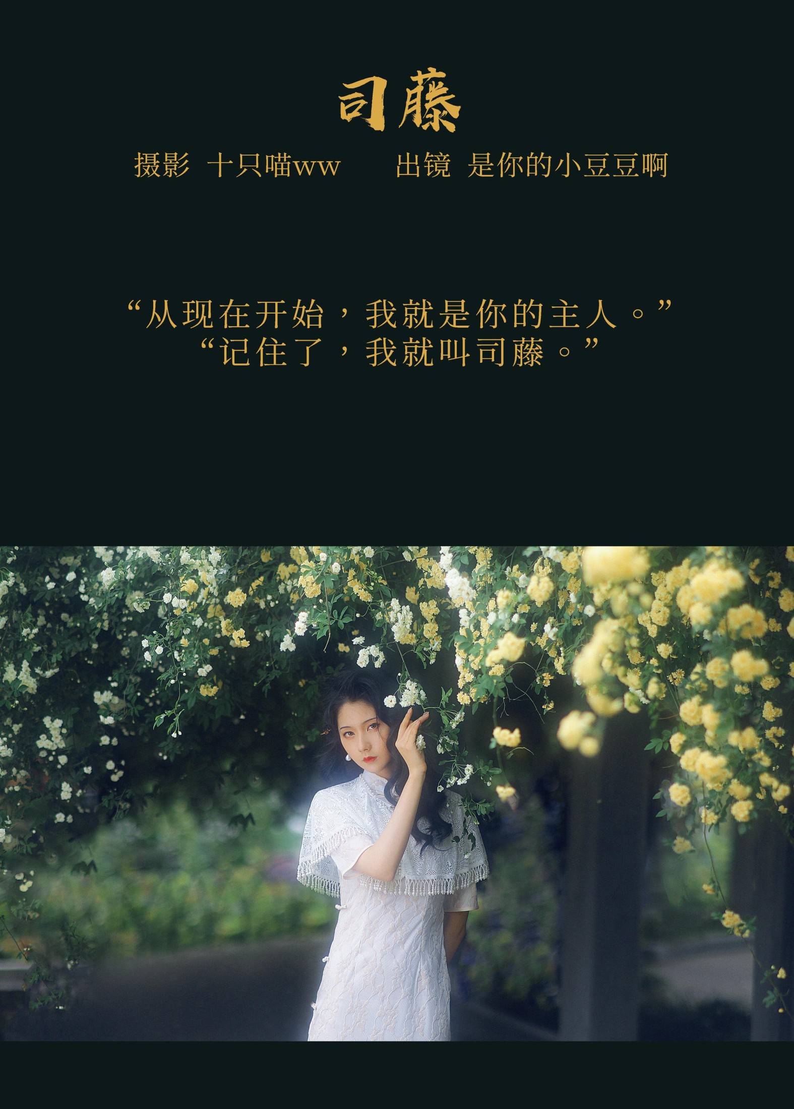 图片[2] - 是你的小豆豆啊 - 《司藤》[21P] - 机器猫次元 - 机器猫次元