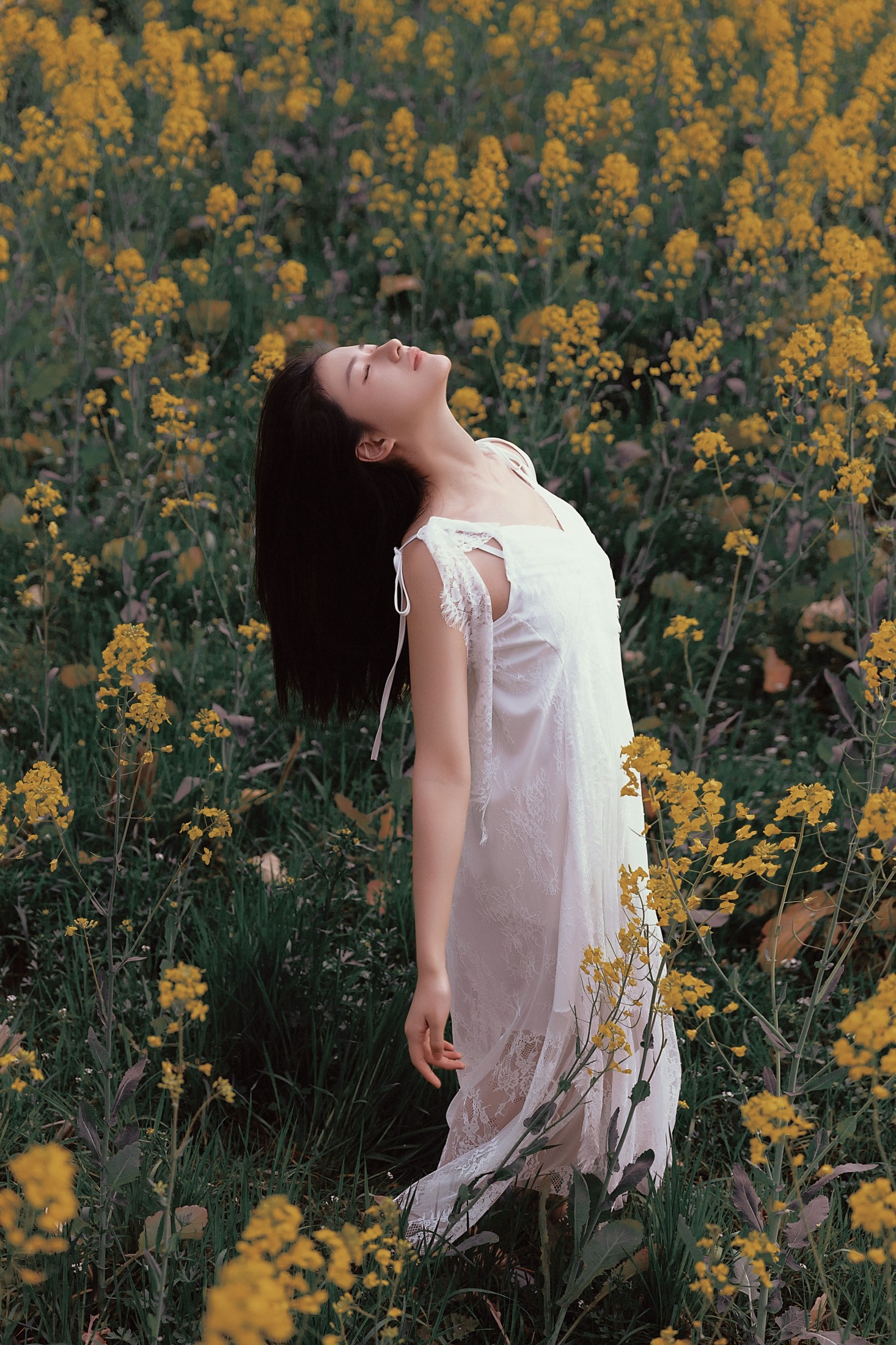 图片[5] - 杨佳欣 - 《野蛮生长》[30P] - 机器猫次元 - 机器猫次元