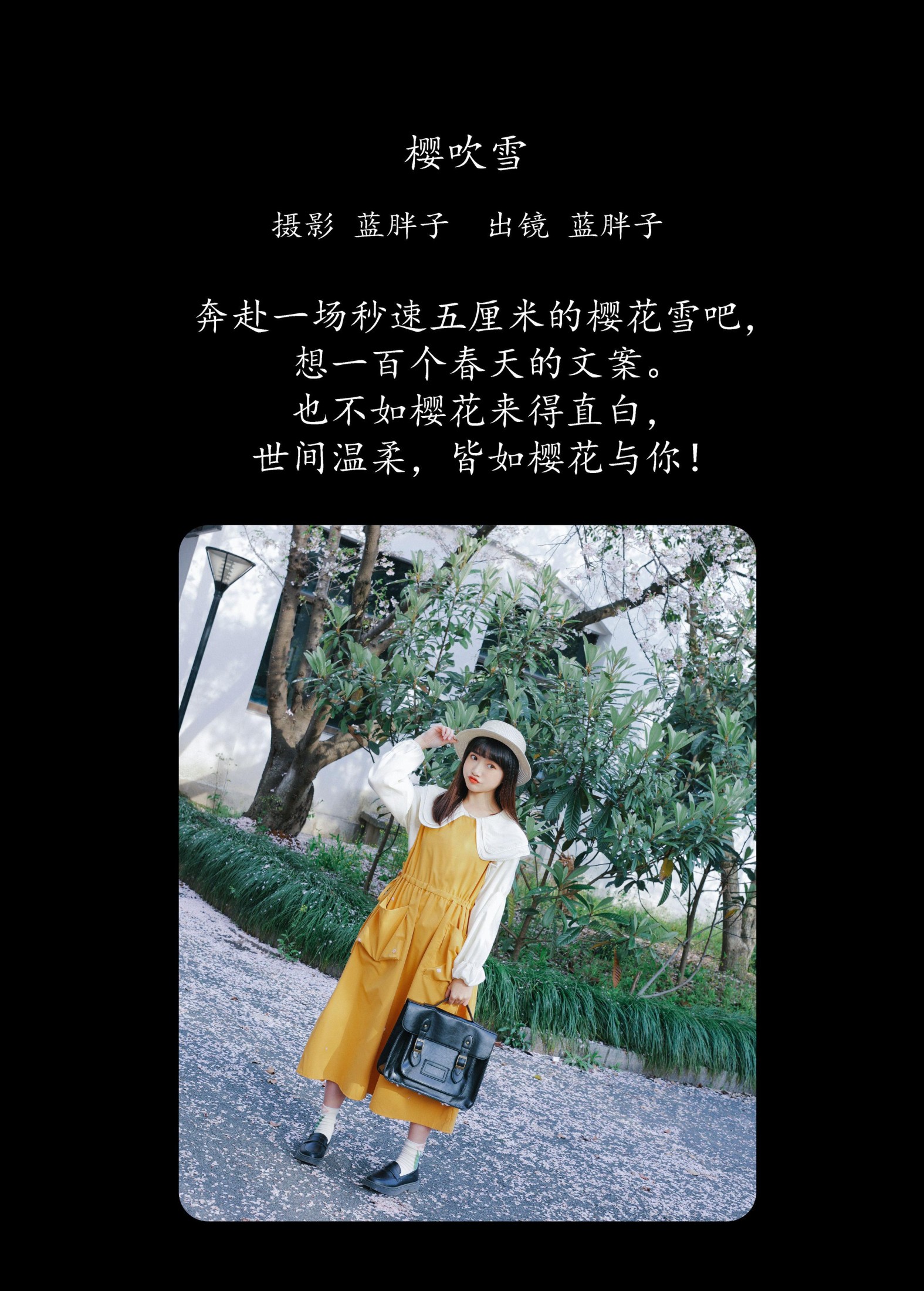 图片[2] - 蓝胖子 - 《樱吹雪》[30P] - 机器猫次元 - 机器猫次元
