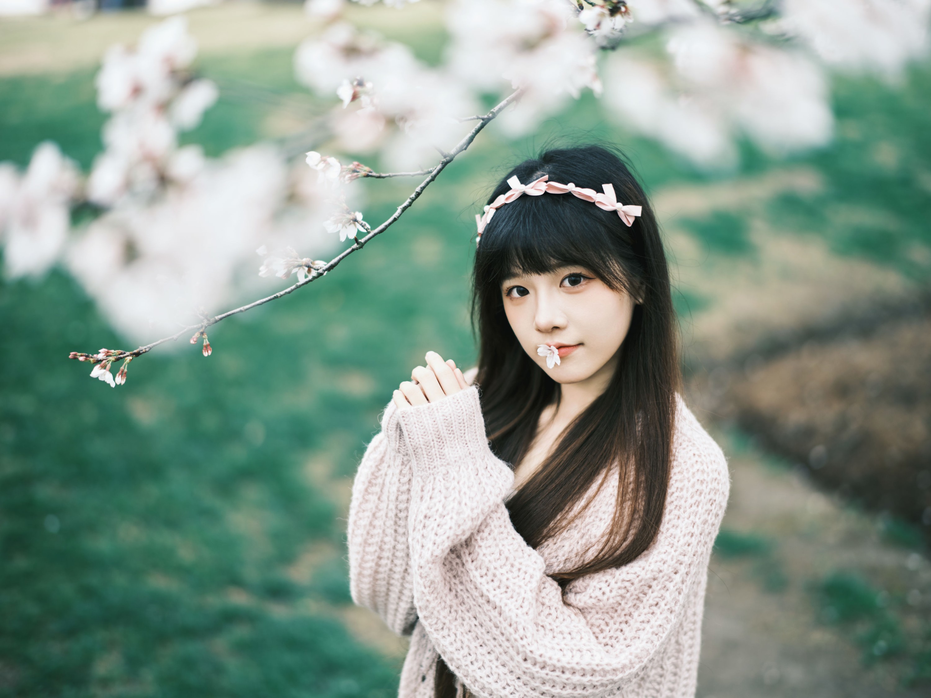图片[5] - 宵宵喵 - 《染井吉野樱》[78P] - 机器猫次元 - 机器猫次元