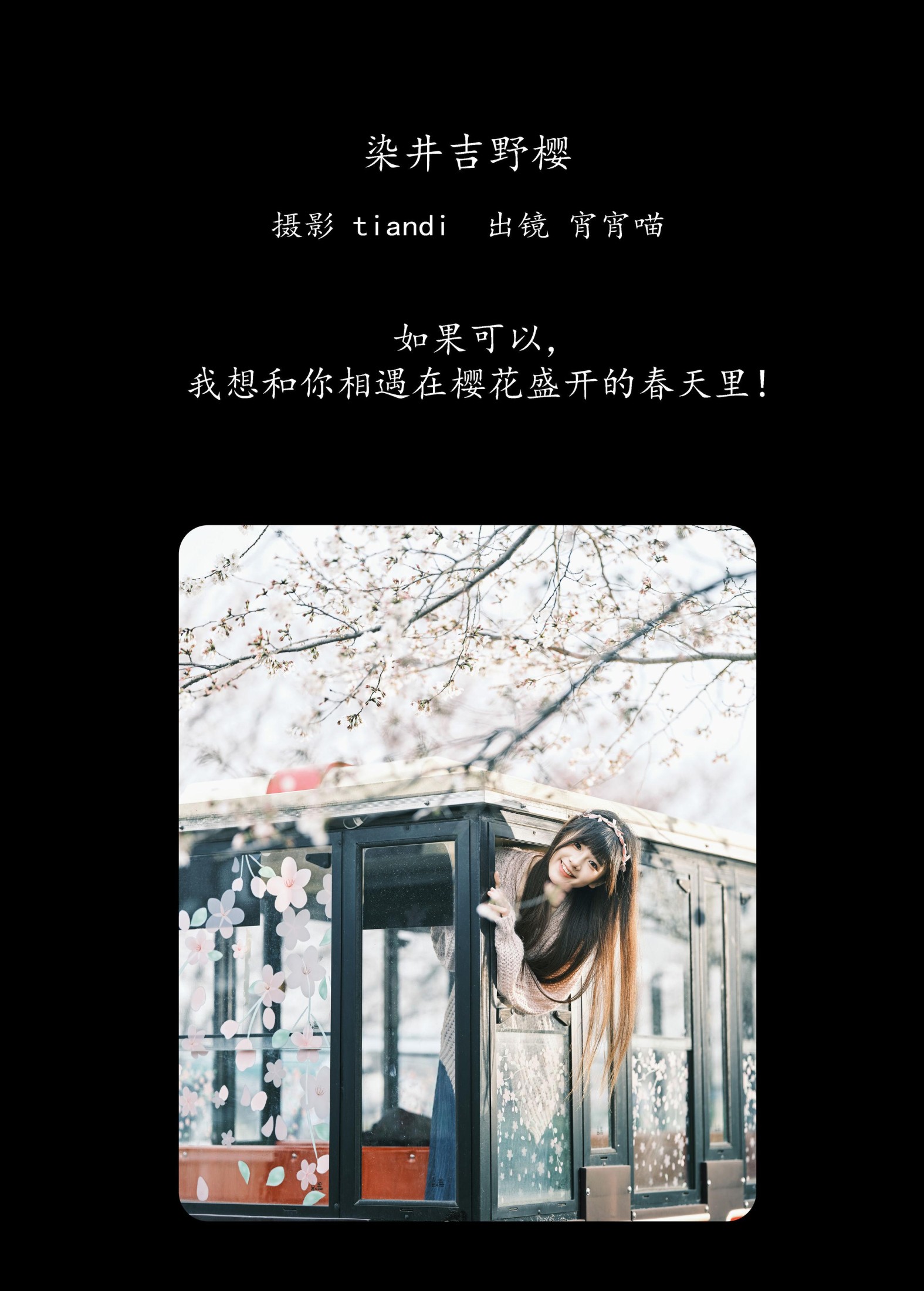 图片[2] - 宵宵喵 - 《染井吉野樱》[78P] - 机器猫次元 - 机器猫次元