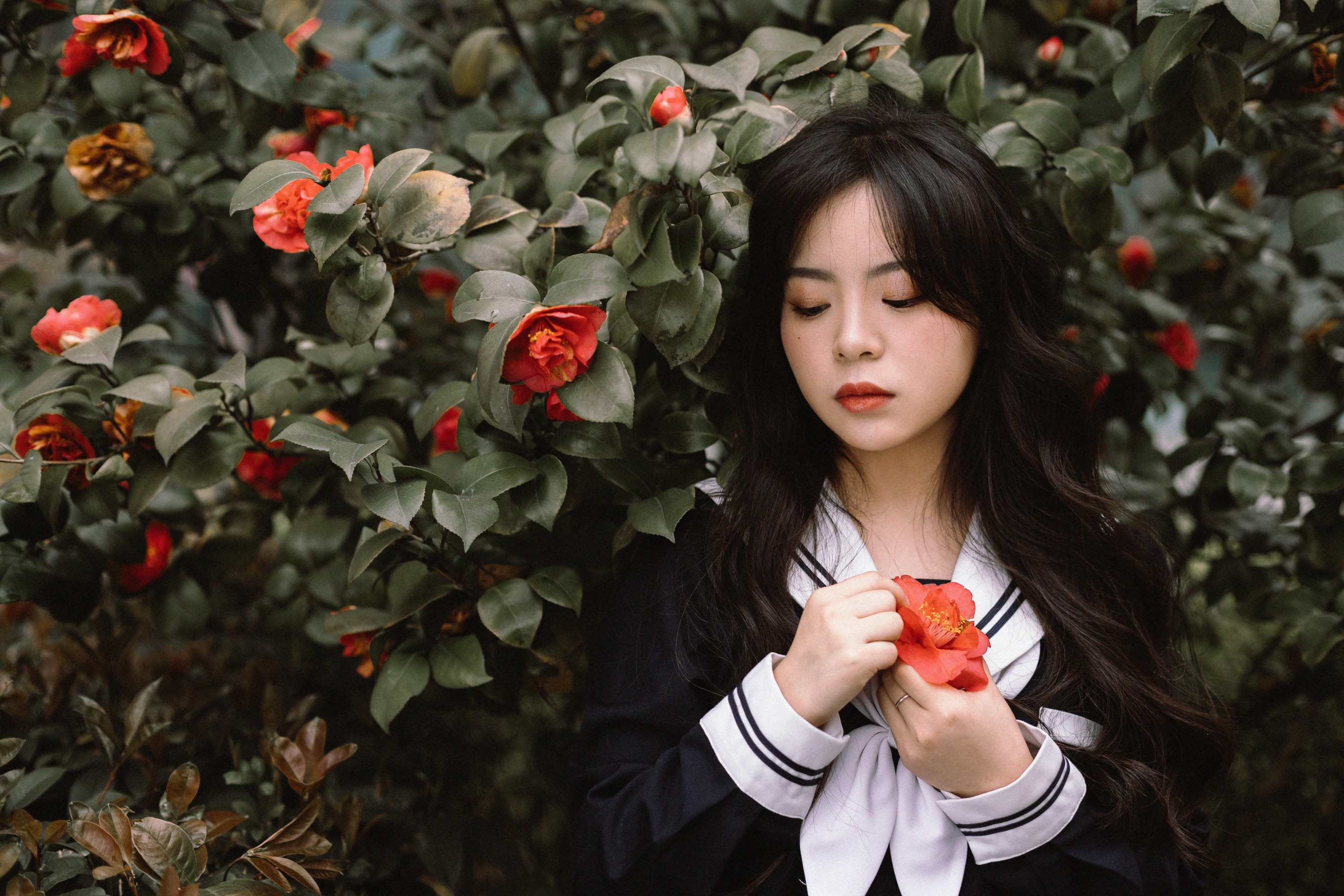 图片[6] - 是小白噢 - 《茶花树下的少女》[26P] - 机器猫次元 - 机器猫次元