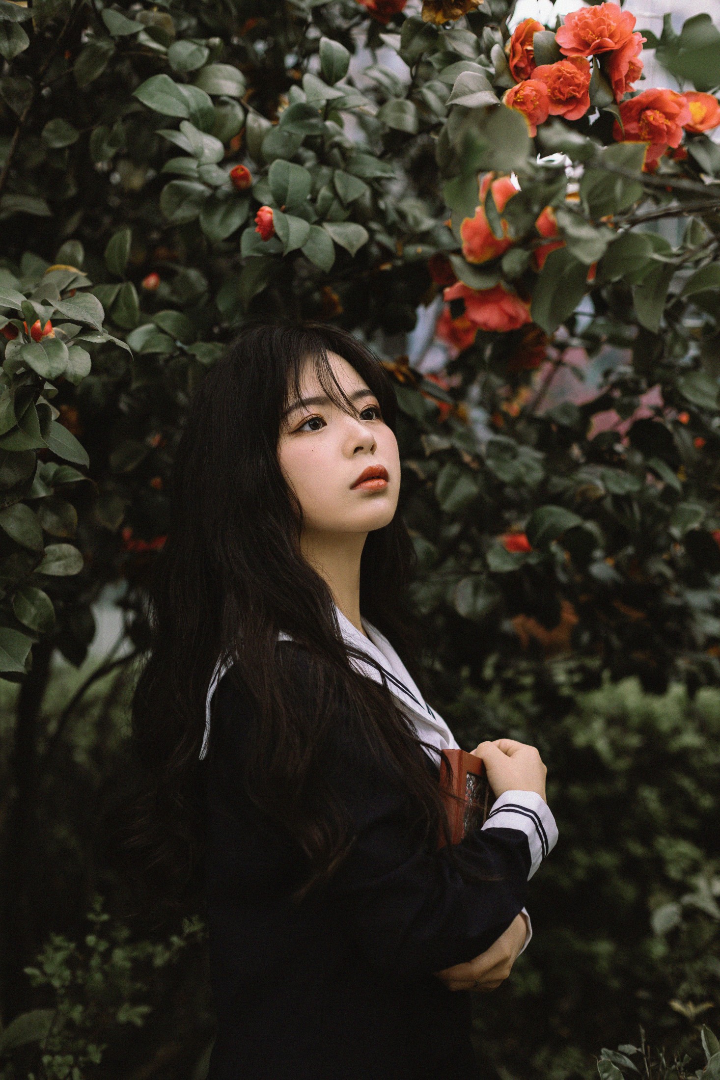 图片[3] - 是小白噢 - 《茶花树下的少女》[26P] - 机器猫次元 - 机器猫次元