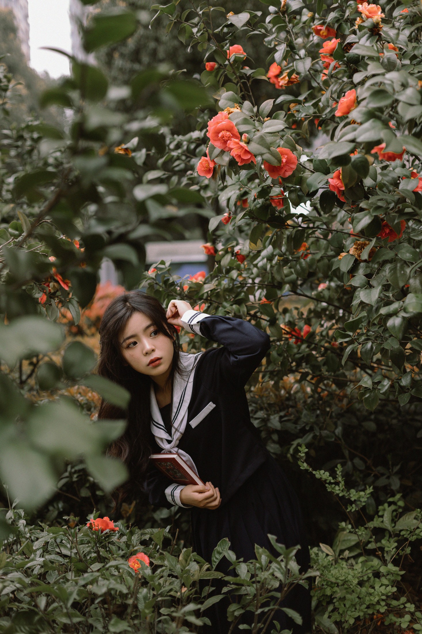 图片[8] - 是小白噢 - 《茶花树下的少女》[26P] - 机器猫次元 - 机器猫次元