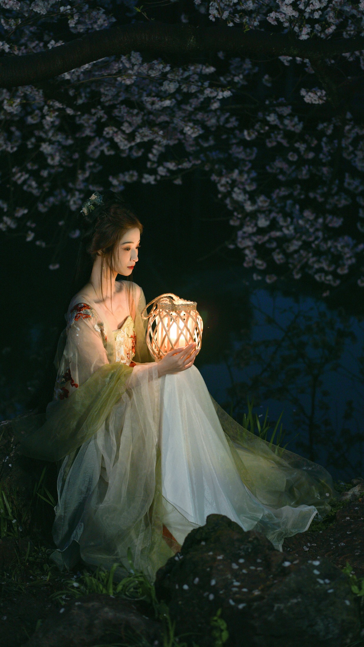 图片[6] - 疏莉 - 《夜探樱》[23P] - 机器猫次元 - 机器猫次元