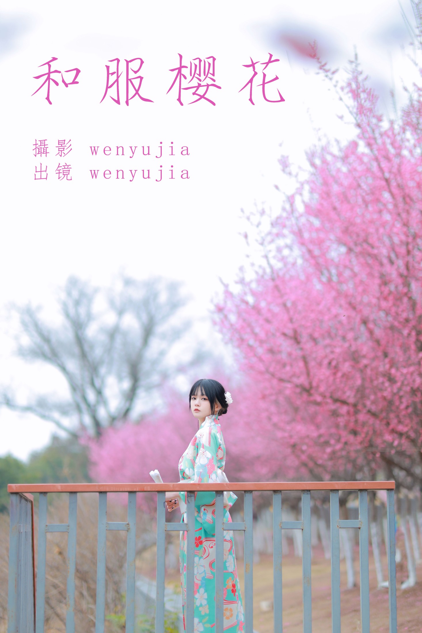 图片[1] - wenyujia - 《和服樱花》[22P] - 机器猫次元 - 机器猫次元