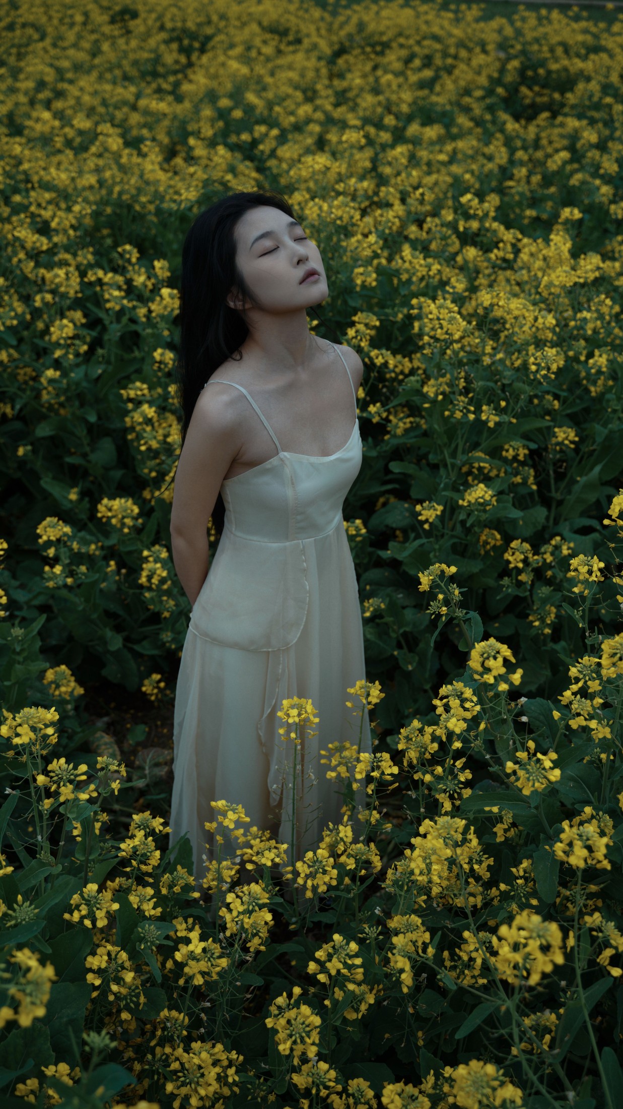 图片[6] - 爱探险的夏商周 - 《昼夜交替》[26P] - 机器猫次元 - 机器猫次元
